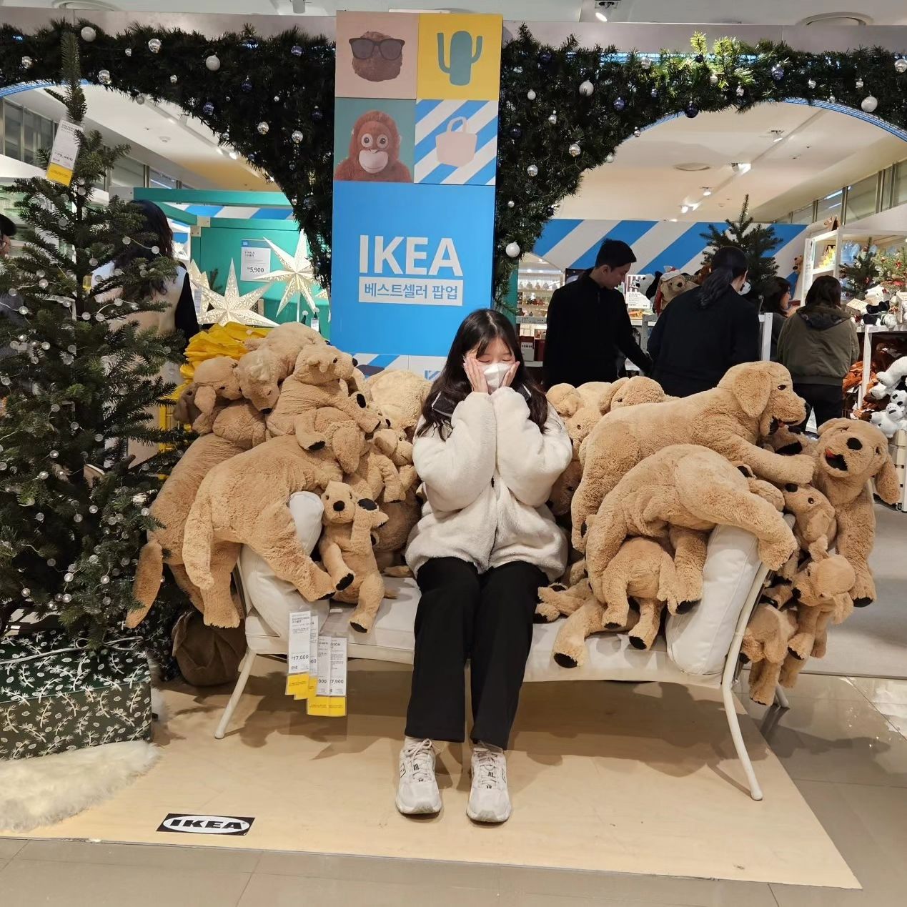 멍뭉이 입양완료🐶
.
.
.
.
.
.
.
.
.
.
.
.
.
#ikea #이케아 #이케아팝업스토어 #daily #일상 #instagram #좋아요반사 #좋반 #선팔환영 #인친 #소통