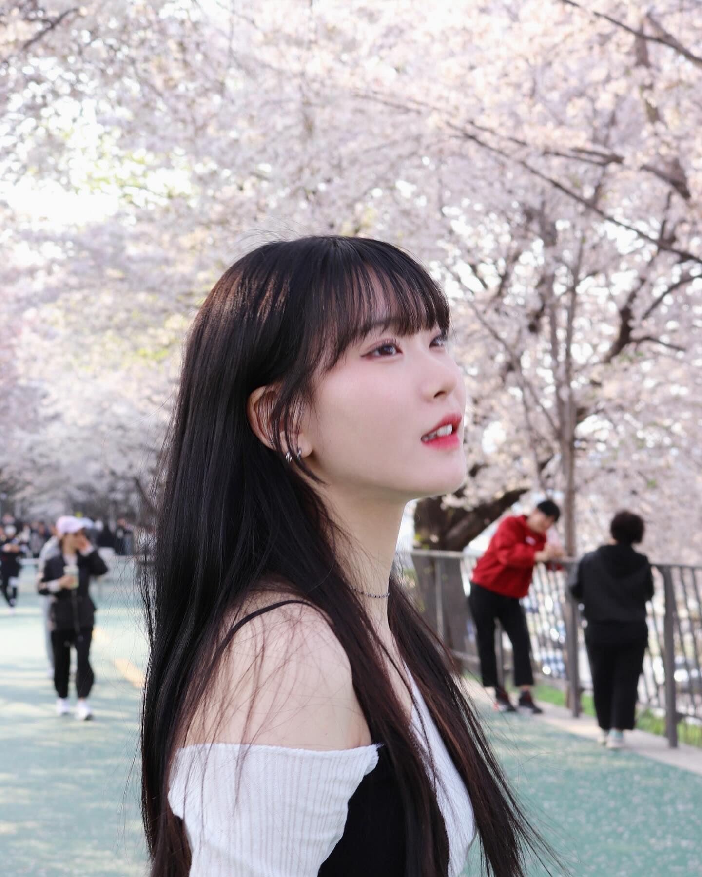 예쁜 사진 찍어줘서 고마워 🌸cowaffection 
#벚꽃