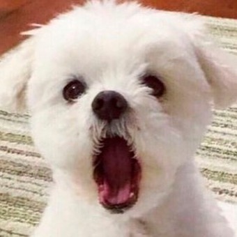 활동에서 활동- 그리고 활동으로 끝난 방학✨

생각보다 할만 했지만 힘도 들었고 부담도 됐던 🐯
많은 것을 알아가게 하고 용돈이 되어준(?) 💙

대외활동과 포폴제작에 온 힘을 다한 방학이 아니었나 싶다.

내 활동에 도움이 되어주신 분들과 응원해주신 분들, 갓생산다며 칭찬해주신 분들이 아니었으면 절대 마무리까지 멋지게 못했을 거라고 확신한다😂

끝이라고 안했다,
이제 시작이다 ^_^!!
봄 시즌은 더 달린다 🏃‍♂️

#대외활동 #겨울시즌 #대외활동후기 #대학생 #곧개강 🔥🔥