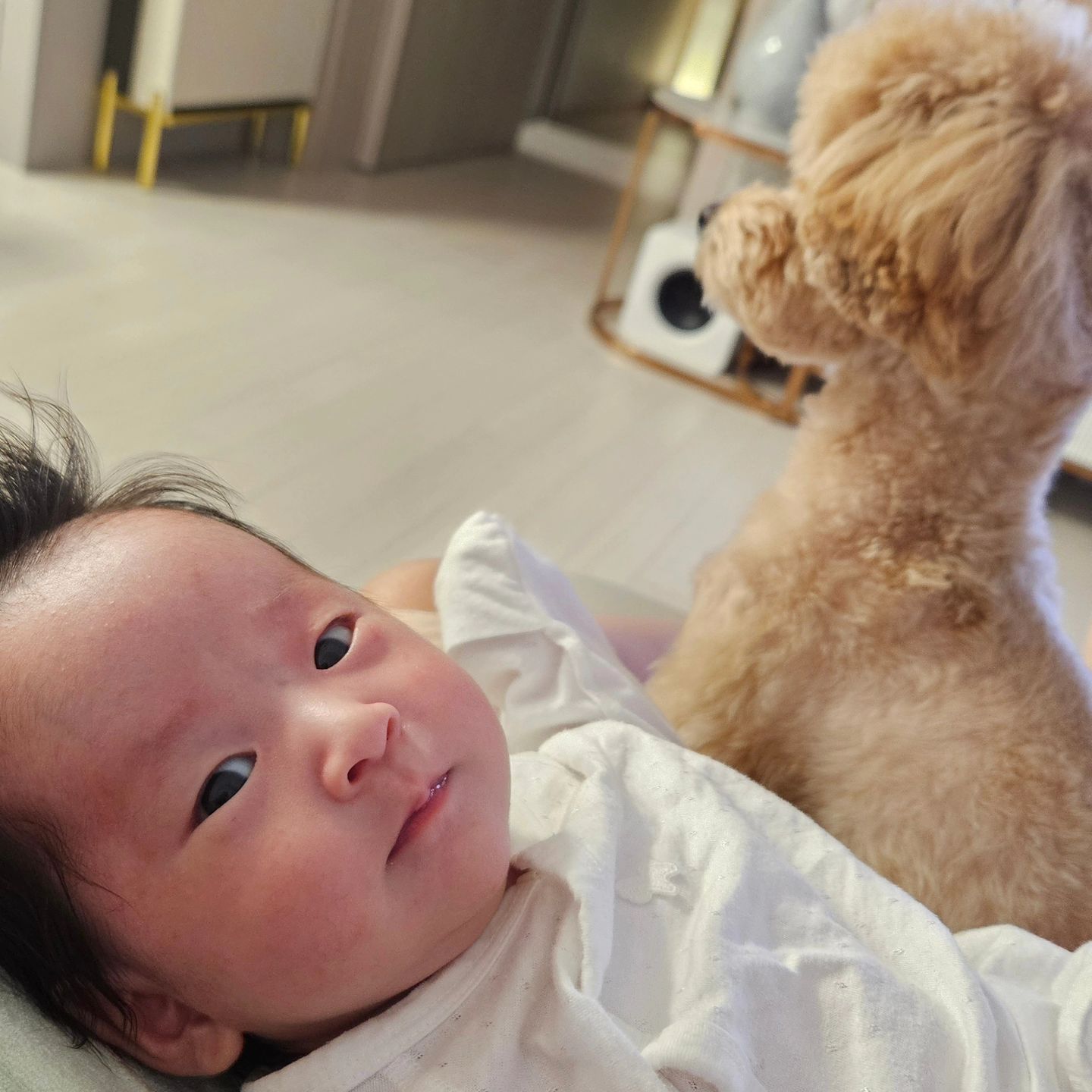 1개월 아기와 10개월 강아지👶🏻❤🐶
서로에게 은근 관심이 많은 것 같은 둘 👀
특히 요즘 아기 주변을 자주 맴도는 아미 🐾 #귀여워

#말티푸아미 #말티푸 #강아지 #댕댕이 #멍멍이
#말티푸스타그램 #댕스타그램 #강아지스타그램
#강아지와함께 #애개육아 #애개육아중 #육아스타그램
#육아견 #멍스타그램 #애개스타그램 #아기스타그램 
#강아지와아기 #친하게지내요 #일상스타그램 
#댕팔맞팔 #육아그램 #일상기록 #소통환영