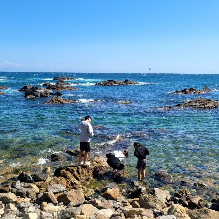삼척해상케이블카ㅡ죽변 해안스카이레일.죽변항.죽변등대ㅡ울진.망양휴게소ㅡ임원항횟집ㅡ삼척해수욕장
.
아빠 고향이자 할머니댁이였던 울진투어.
어릴때는 차막히고 멀어서 명절마다, 여름휴가때마다 할머니댁 오는게 힘들었고 바다가 넘지겨웠는데..ㅎㅎ

지금은 안계시지만 망양휴게소 근처 울진 할머니댁을 둘러봤다.
그 집은 이젠 다른사람이 살지만
바로 옆 망양슈퍼는 아직 그대로라 넘 반가웠다.

근 20년만에 간 삼척과 죽변, 울진은 그 일대 관광지로 많이 변했네..

그때는 몰랐는데 동해바다가 이렇게 아름다웠나..
해안선을따라 내려갈수록 감탄만 나오는 아름다운 동해물..
편안해지는 마음으로 재충전한 추석연휴♡

#삼척 #삼척여행 #삼척해상케이블카 #죽변등대 #죽변해안스카이레일 #울진 #7번국도여행