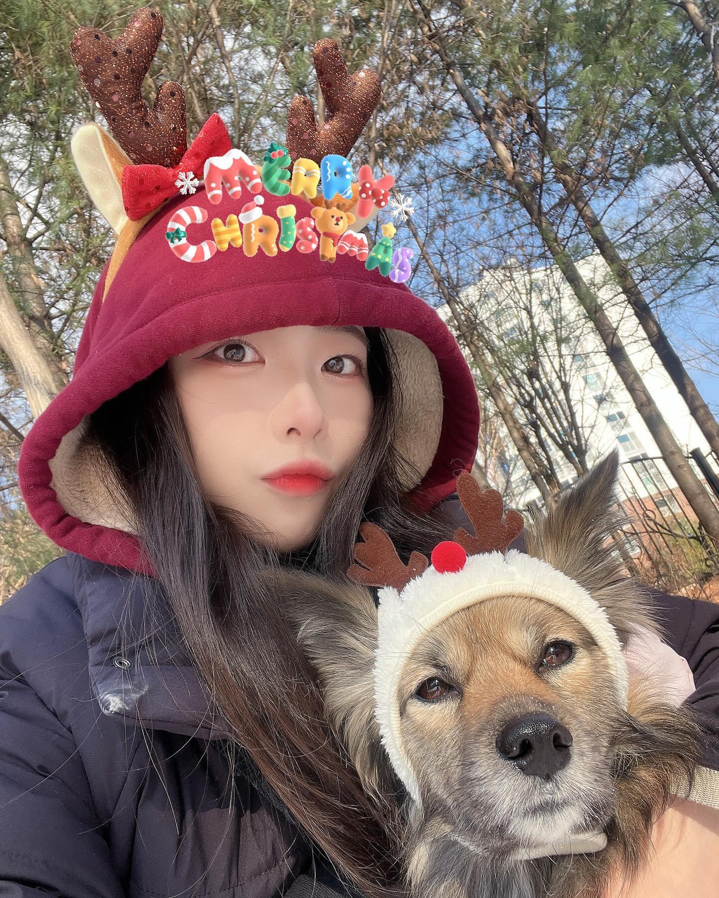 Merry Christmas🎄 with dog_moroo 💕
.
.
.
.
.
.
.
.
.
.
.
.
.
.
#merrychristmas #christmas #크리스마스 #크리스마스이브 #내일은크리스마스 #누돌프 #루돌프 #커플누돌프 #커플루돌프 #선팔 #맞팔 #선팔은곧맞팔 #선팔하면맞팔 #좋아요반사 #일상 #누돌프머리띠 #루돌프머리띠 #연말 #12월24일 #겨울