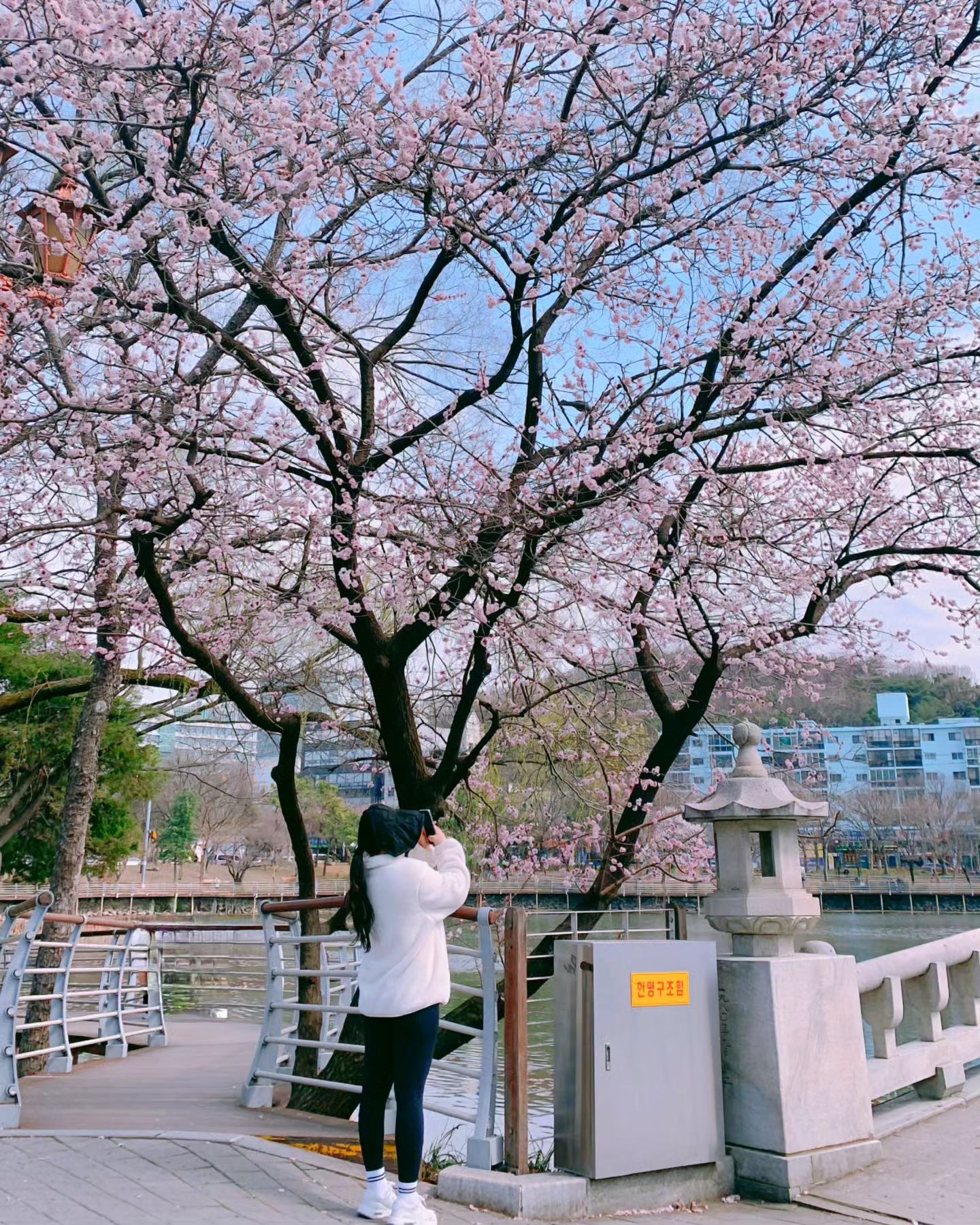 2024.03.22🌸

필라 후 언니랑 두류공원 걷기_👭

운동복과 모자에 꽃과 어울리지 않지만
핑크 매화꽃과 사진은 찍고 싶은_😁

#성당못
#두류공원
#꽃이좋을나이
#모자와한몸
#얼굴타기싫어
#나이드니까
#살빼기힘들다