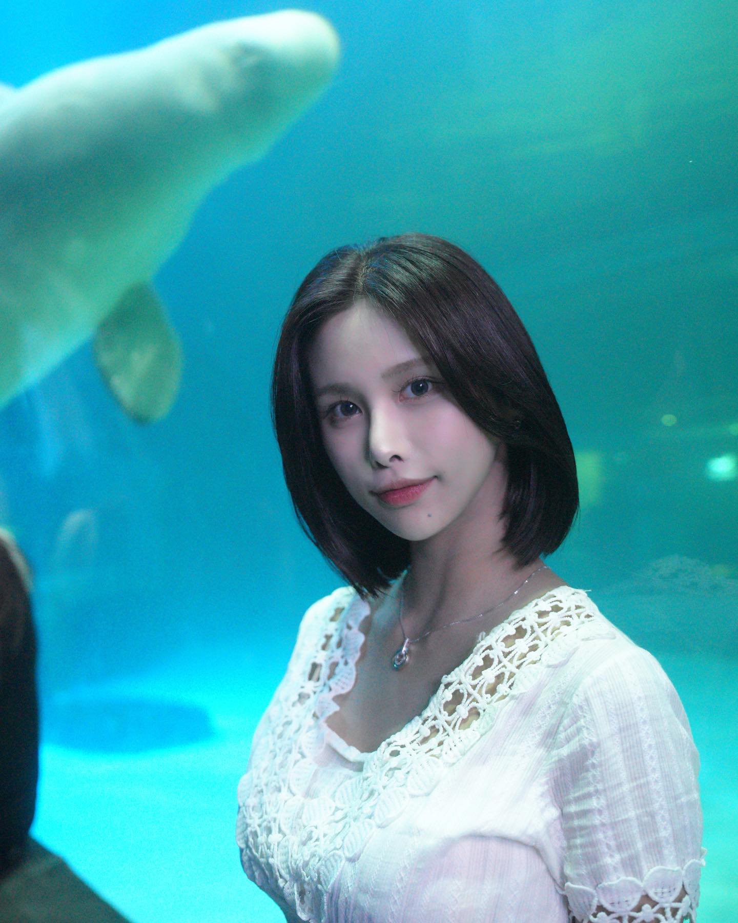 사실 더 있는 아쿠아리움 스냅🐠

#스냅사진 #스냅촬영 #스냅 #아쿠아리움 #롯데타워맛집 #롯데타워 #롯데타워아쿠아리움 #모델 #스냅모델 #피팅모델 #뷰티모델 #촬영 #프리랜서모델