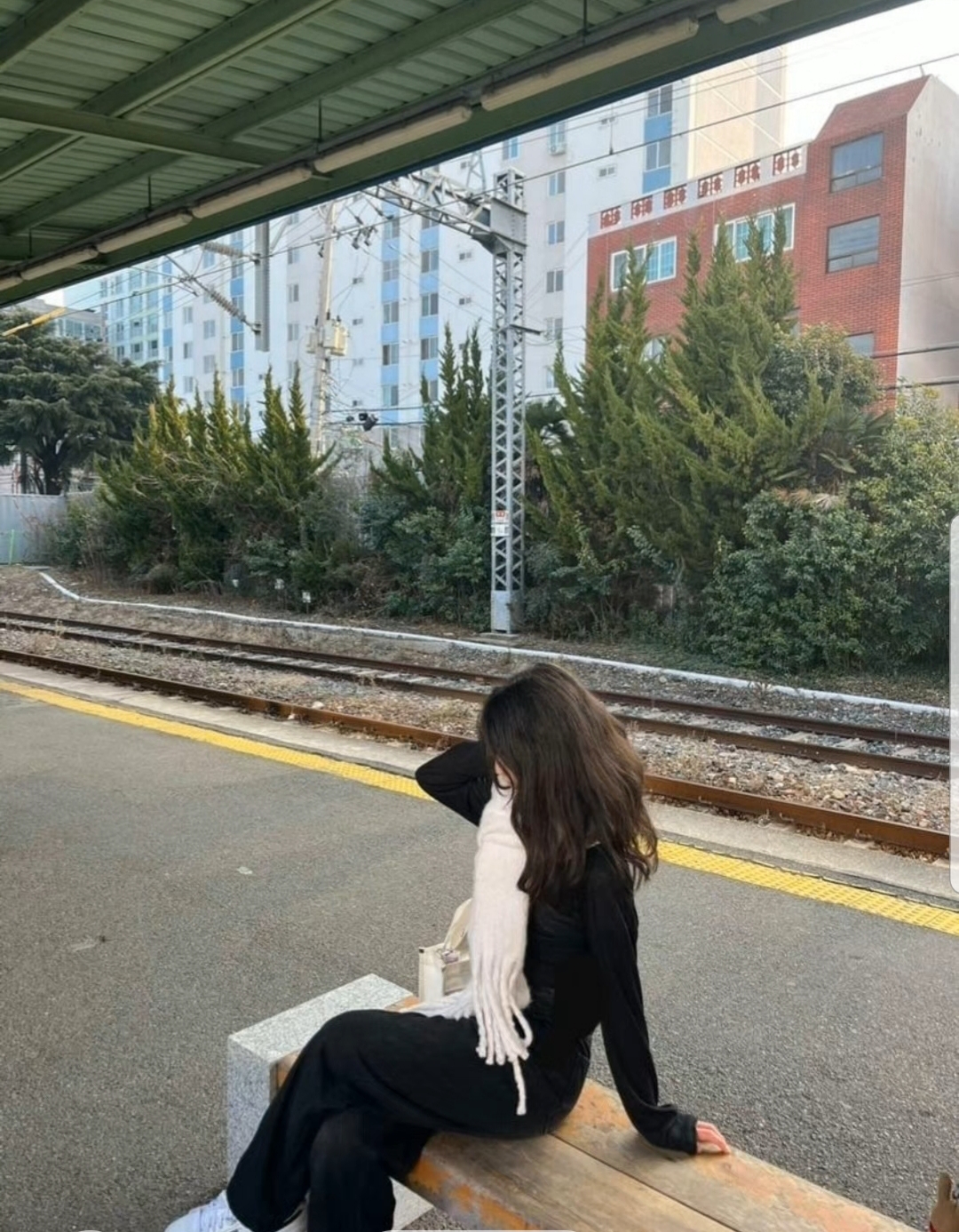 콘텐츠