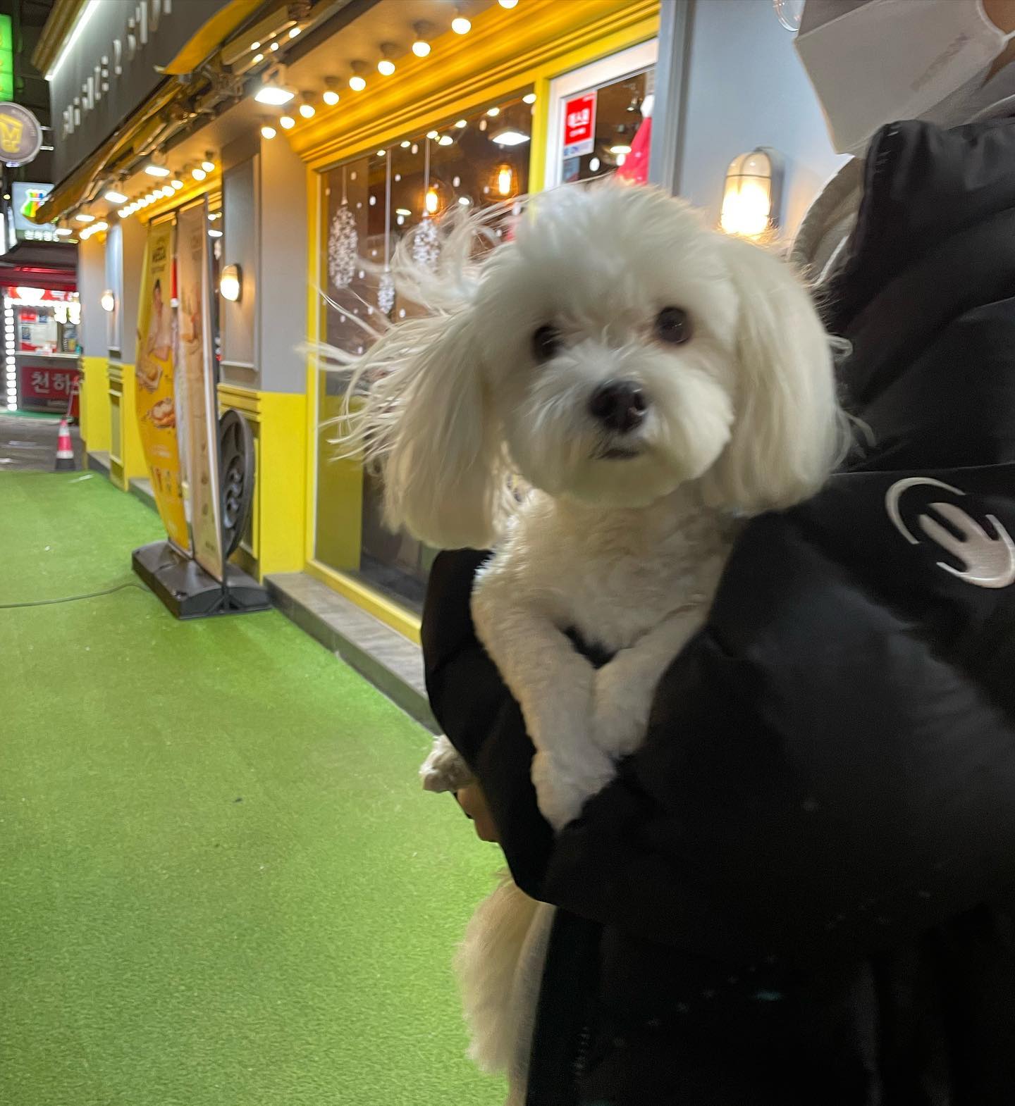 ㅇ ㅒ들아 이 추위에 커피심부름 나왔다가 얼어주글뻔해따 다들 오늘은 커피참고! 누가 나가자고하면 오늘 바뿌다고 둘러대! #동장군 #매운맛 #허니와레몬 #빅말티