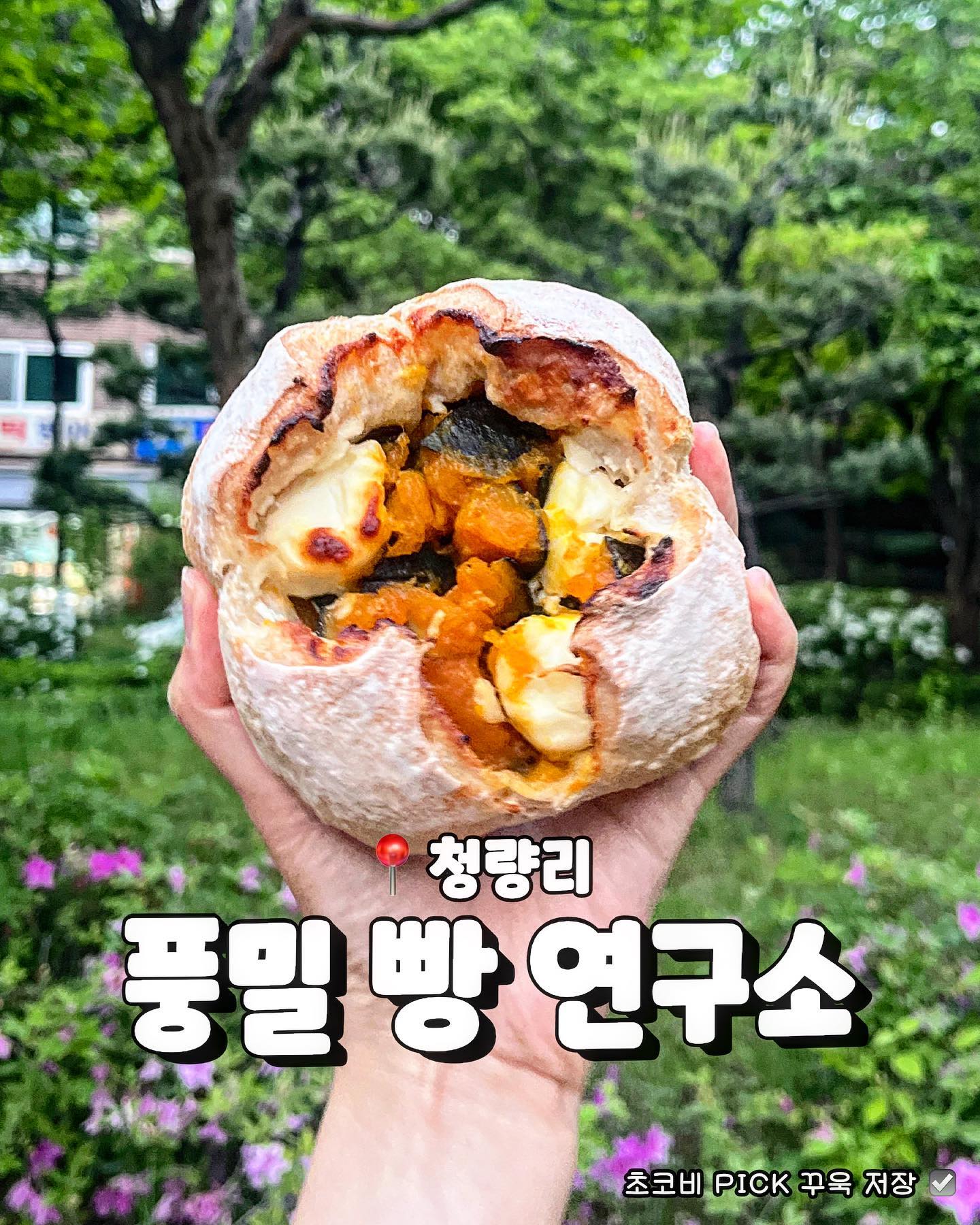 빵순이 빵돌이분들 여기 꼭 가보세요🍞
#협찬 #Chocobi_Pick 📍풍밀 빵 연구소

앞으로 구황작물 빵은 무조건 여기에요
다시 가고싶은 초코비 Pick 빵집!
청량리에 위치한 풍밀 빵 연구소입니다
초코비 Pick 단호박 크림치즈 깜빠뉴🧡
쫀득한 통밀 깜빠뉴에 달달한 단호박과
감초같은 크림치즈가 들어가
5천원대 가격임에도 묵직한 무게감이 있어요
빵이 워낙 커서 반 잘라먹어도 한끼로 배부르고
냉장고에 넣어두었다가 전자레인지 돌려 먹어도
여전히 부드럽고 맛있어 추천!

크림이 빵빵한 크림빵도 종류별로 다양하니
아이부터 어른까지 다양한 입맛을 사로잡는 곳입니다

📍𝘾𝙝𝙤𝙘𝙤𝙗𝙞 𝙥𝙞𝙘𝙠 
 • 푸릇푸릇 공원뷰와 어울리는 건강한 빵집
📍𝙢𝙚𝙣𝙪 : 
 • 단호박 크림치즈 깜빠뉴 ₩5,500 𝙥𝙞𝙘𝙠.ᐟ
 • 생크림 단팥빵 ₩4,000 𝙥𝙞𝙘𝙠.ᐟ
 • 황치즈 생크림빵 ₩3,500 
 • 가나슈 초코 생크림빵 ₩3,500
 • 초코 소금빵 ₩3,500
ㅡㅡㅡㅡㅡㅡㅡㅡㅡㅡ
#초코비서울 #초코비청량리
#청량리빵집 #청량리카페 #청량리맛집 #서울빵집추천 #서울빵지순례 #빵스타그램 #카페스타그램 #구황작물빵 #단호박빵맛집 .