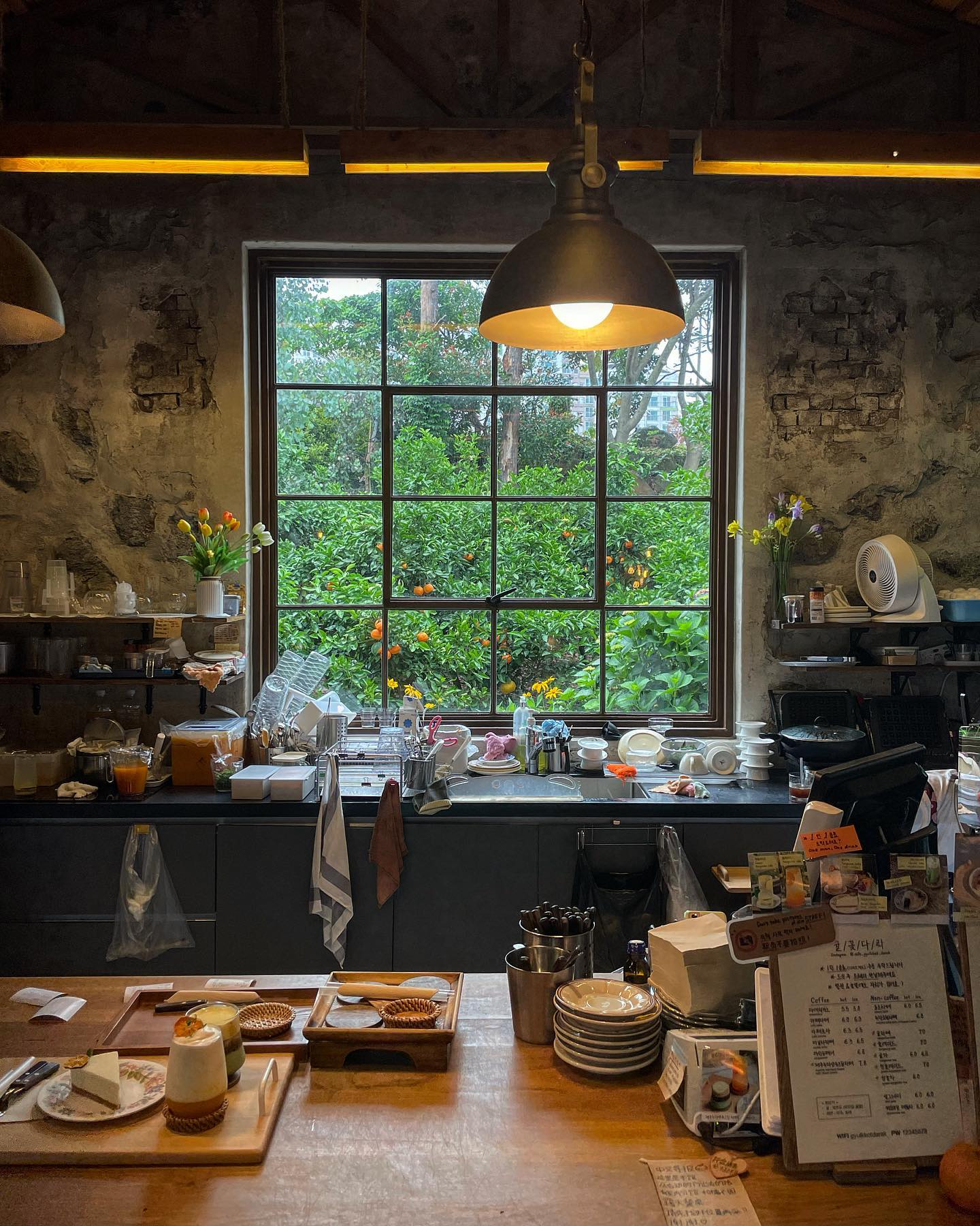 제주기록 좋았던 기억🌿🍊🪵☕️