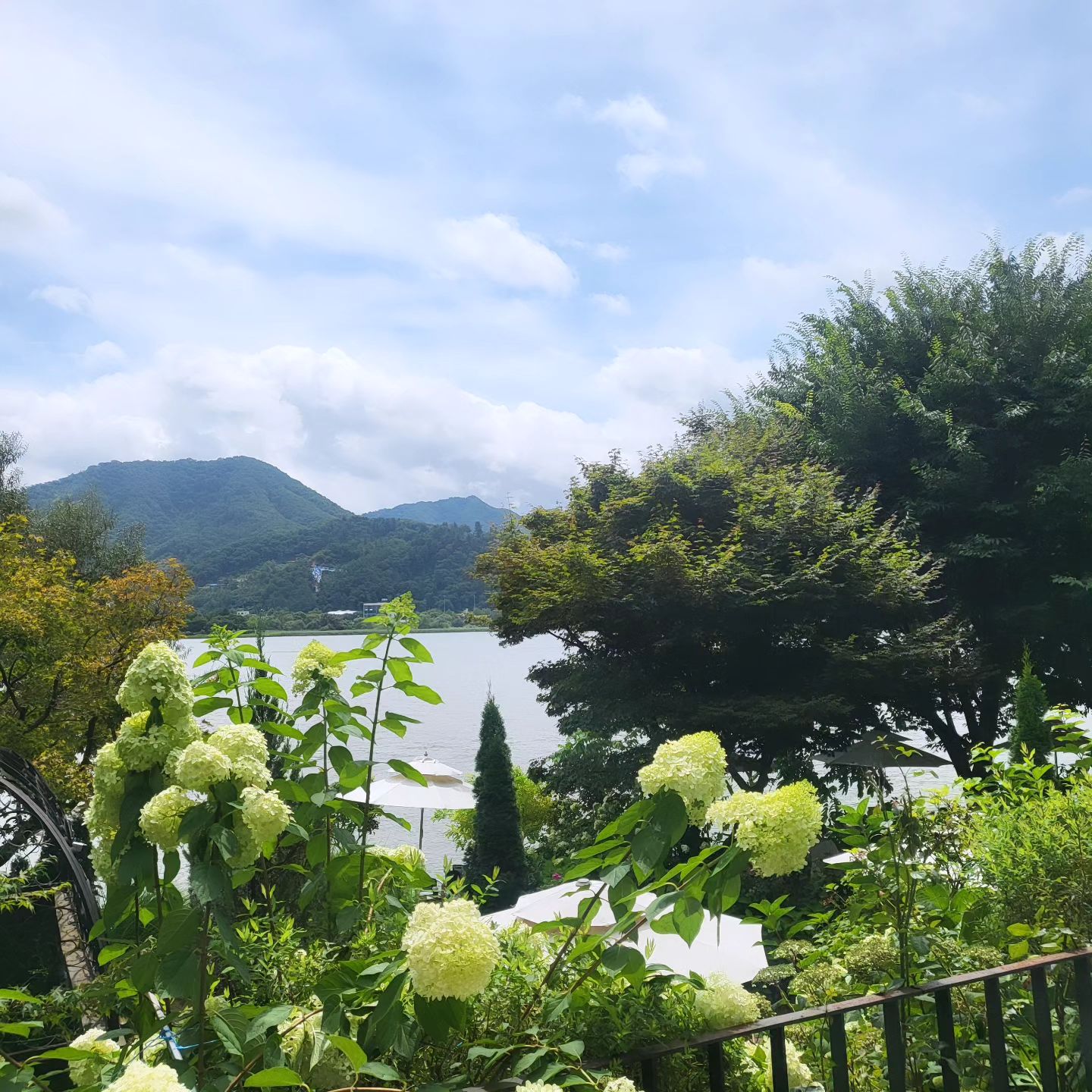 오늘 지인들과의 약속으로 남양주까지 다녀왔어요🎶
오랫만에 날씨가 좋아서 북한강뷰도 마음껏 보고
수다도 떨고 즐건 시간보냈네요💕
첨 가본 북한강뷰 카페 대너리스📌
뷰 맛집이네요 👍
대형카페라 엄청 넓고 빈티지인테리어 멋지네요
드라이브 나오심 좋을것같네요 
대너리스카페📌
경기 남양주시 조안면 북한강로 914

11시에 만나서 창가 좋은 자리 득템
1차 카페
2차 돌짜장
3차 또 카페
수다가 끝이없어요
7시 넘어서 빠이빠이😊😊😊
담에 또 만나자는 약속을 뒤로 하고😘

#남양주카페추천 #대너리스 #북한강뷰카페 #북한강뷰
#주말나들이그램 #주말나들이하기좋은곳
#주말나들이장소