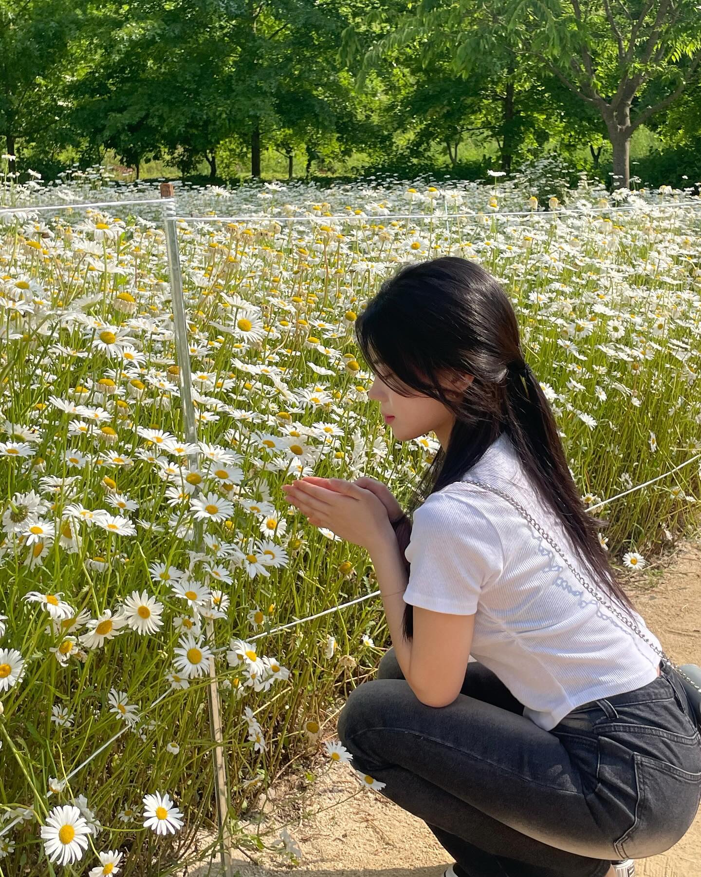 계란후라이 가득가득 💛🌼🍳