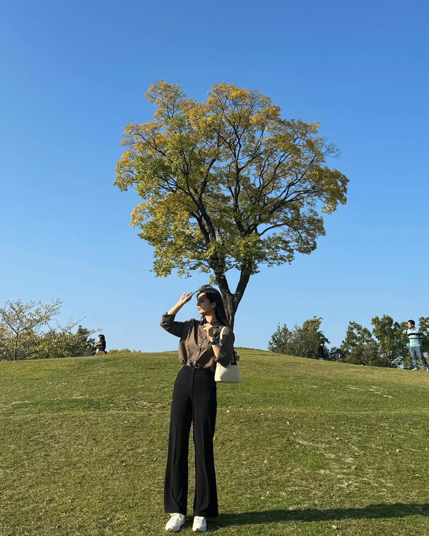 🌳