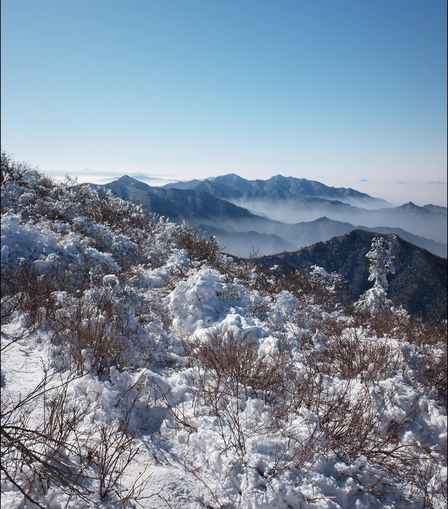 미친듯이 멋있는 덕유산
눈꽃 흐드러질때 또 와야지❄️🩵❄️🩵