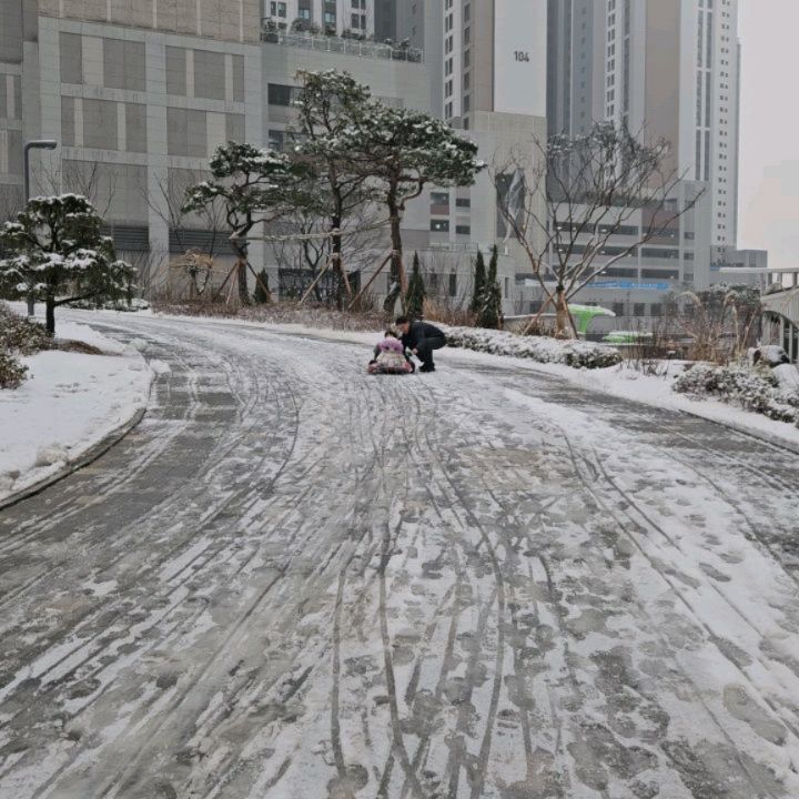 23년 마지막 주말
눈오기에 점심먹고 나가 놀기~~!
썰매도 타고ㅋㅋㅋ
눈사람도 만들고ㅋㅋ
눈 굴리는 방법 알려주니 혼자서 눈 굴리더니
큰 눈덩이 만들어서 눈사람 만들기까지
마지막 주말도 즐겁게 마무리하자🫶