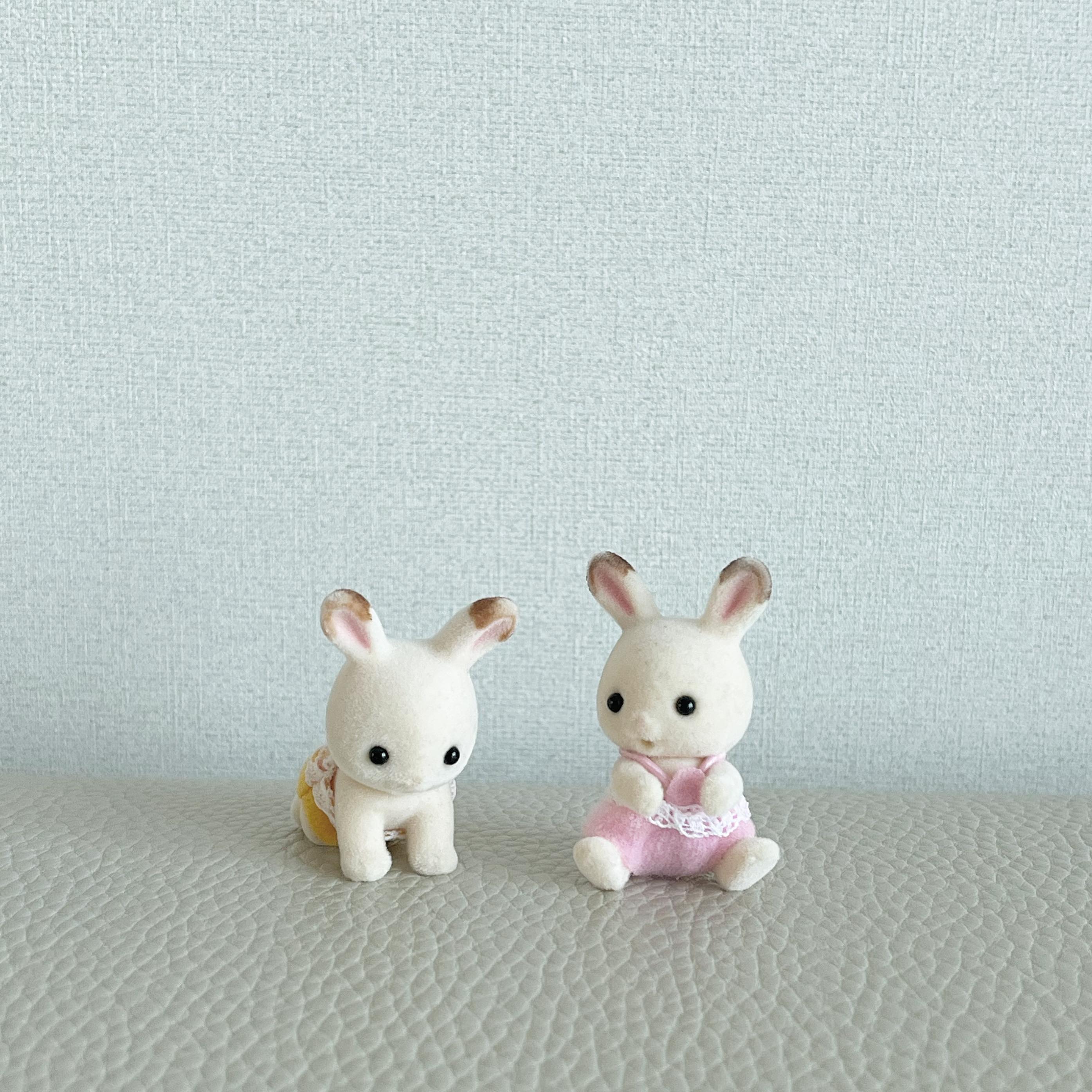 🐰🤍