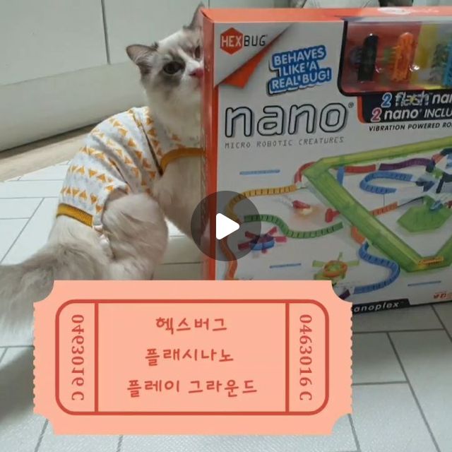 🌟티케에요🌟 on Instagram: "#협찬 #체험단 _ @zambus4u 중성화 때문에 회복중인 티케가 너무너무 지루해 보이더라구요😭 우다다하는 사냥놀이는 무리가 될까봐 못하고 어쩌지..하고 생각중에