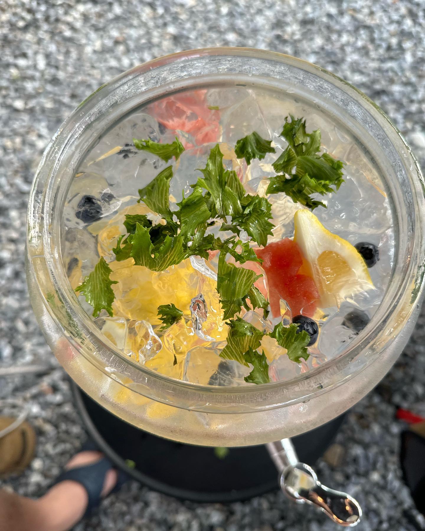 _

❇️시원한 쏘주 하이볼 🍇🍉🍋한가득

✳️김부각에 계란노른자 톡! 올린 육회 

❇️육전 고명올린 살얼음 물냉면에는
오이+삶은계란 친구들 추가🤤

여름캠핑 메뉴 어떠세요오-? 
여기가 맛집이지 모..💚

#여름캠핑 #캠핑음식 #캠핑메뉴 #맛도리
#소주하이볼 #김부각육회 #육회 #맛도리그램
#육전 #물냉면 #육전물냉면 #하이볼 #맛스타그램 
#캠핑요리 #캠핑메뉴추천 #캠핑요리추천 
#오늘뭐먹지 #캠핑에미치다 #캠핑세끼
#먹잘알 #먹방스타그램 #먹스타그램 #먹캠