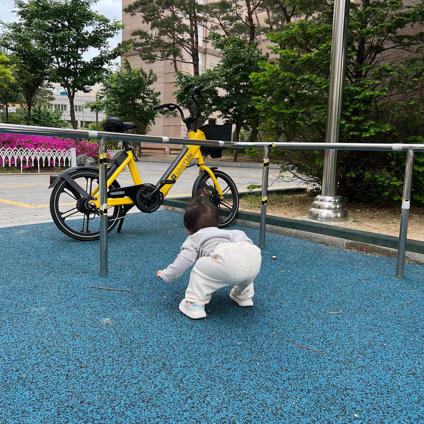 𝙳+𝟺𝟺𝟷 👧🏻

제대로 걷기 시작하고 맨날 나가자고 난리치는 유은이 덕분에 강제로 산책😅 

그나저나 밀린거 언제 다올려…..🫠