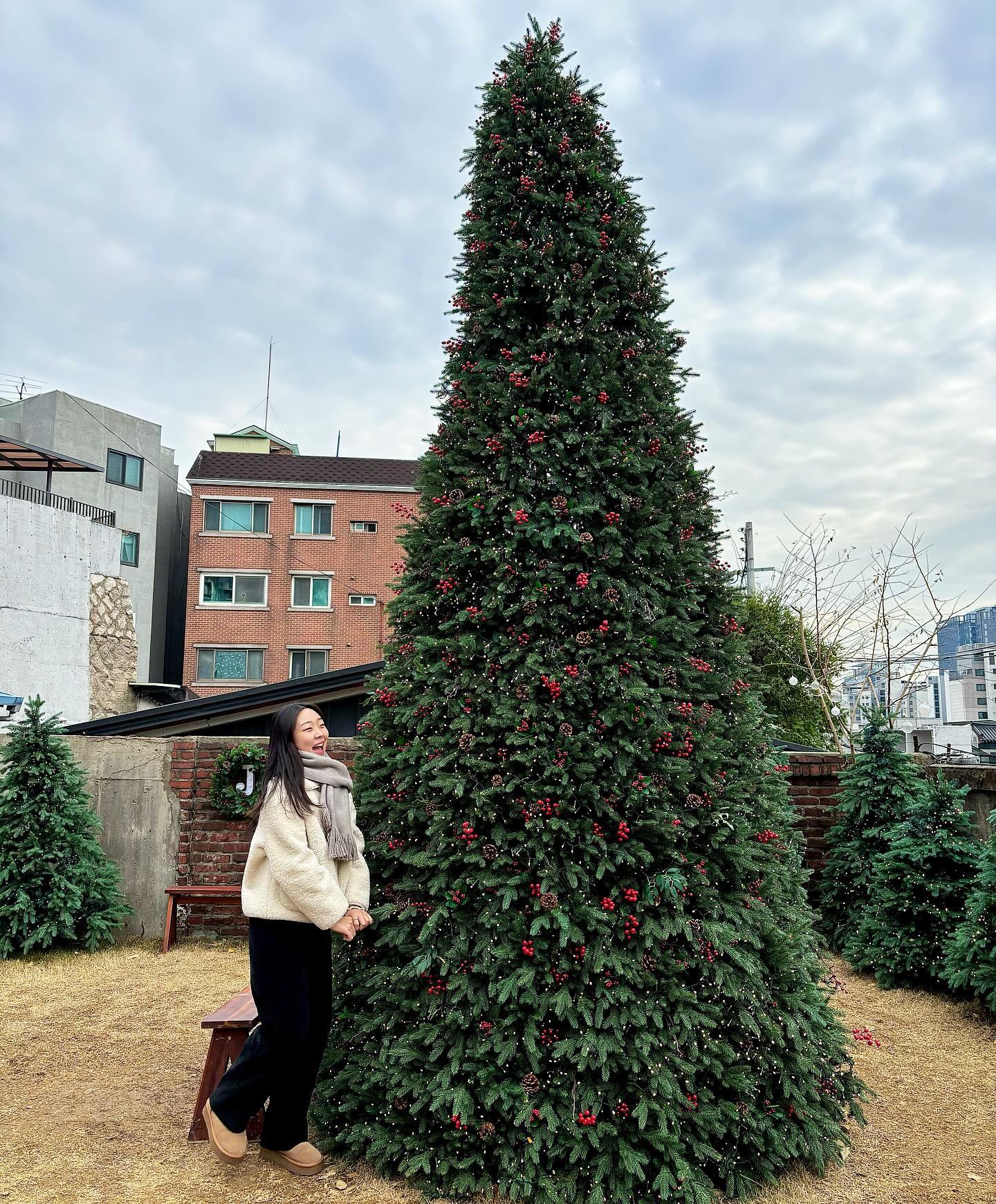 12월이니까 11월에 본 트리사진 올리기 🐰🎄❤️