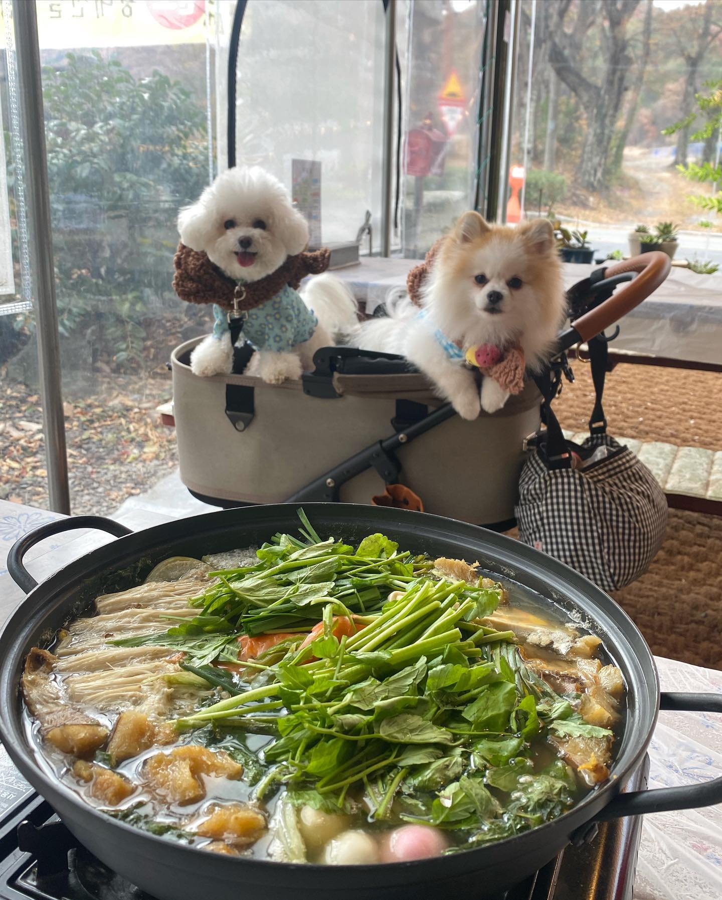 #협찬 #셀레나의_리뷰

장안의 힐링 맛집, 대관령 다녀왔찌😆

애견동반 가능해서 댕댕이들도 함께 갔는데 산책하기도 좋더라구💕

겨울특선인 황태전골 먹었는데 뜨끈한 궁물에 쫄깃한 황태도 듬뿍 들어있었어👍🏻 난로에 구운 군고구마까지 후식으로 먹고 힐링 하고 왔어🥰

ㅡㅡㅡㅡㅡㅡㅡㅡㅡ

장안 대관령

⏰ 매일 10:00am-20:30pm
20:00pm 라스트오더

📍 부산 기장군 장안읍 장안로 334 1층
📞 051-727-9292

🚘 무료주차가능 

🐶 반려동물 동반가능

#셀레나의_맛투 
#셀레나_기장
#장안대관령#부산한식#부산런치#기장한식맛집#기장생선구이#기장데이트#장안맛집#장안대관령#기장맛집추천#부산애견동반#부산애견동반식당#먹스타그램#맛집투어#부산인플루언서
