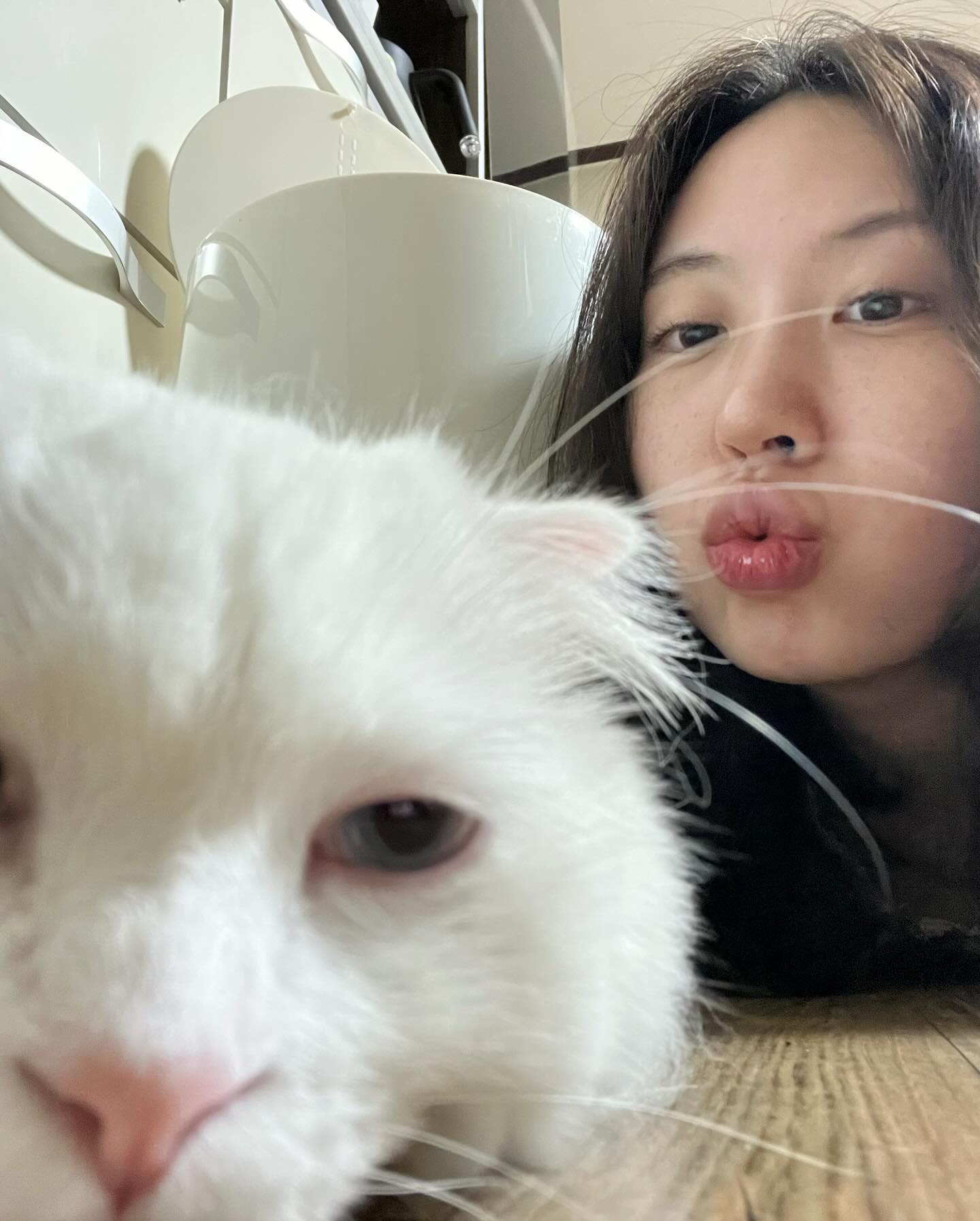 콘텐츠