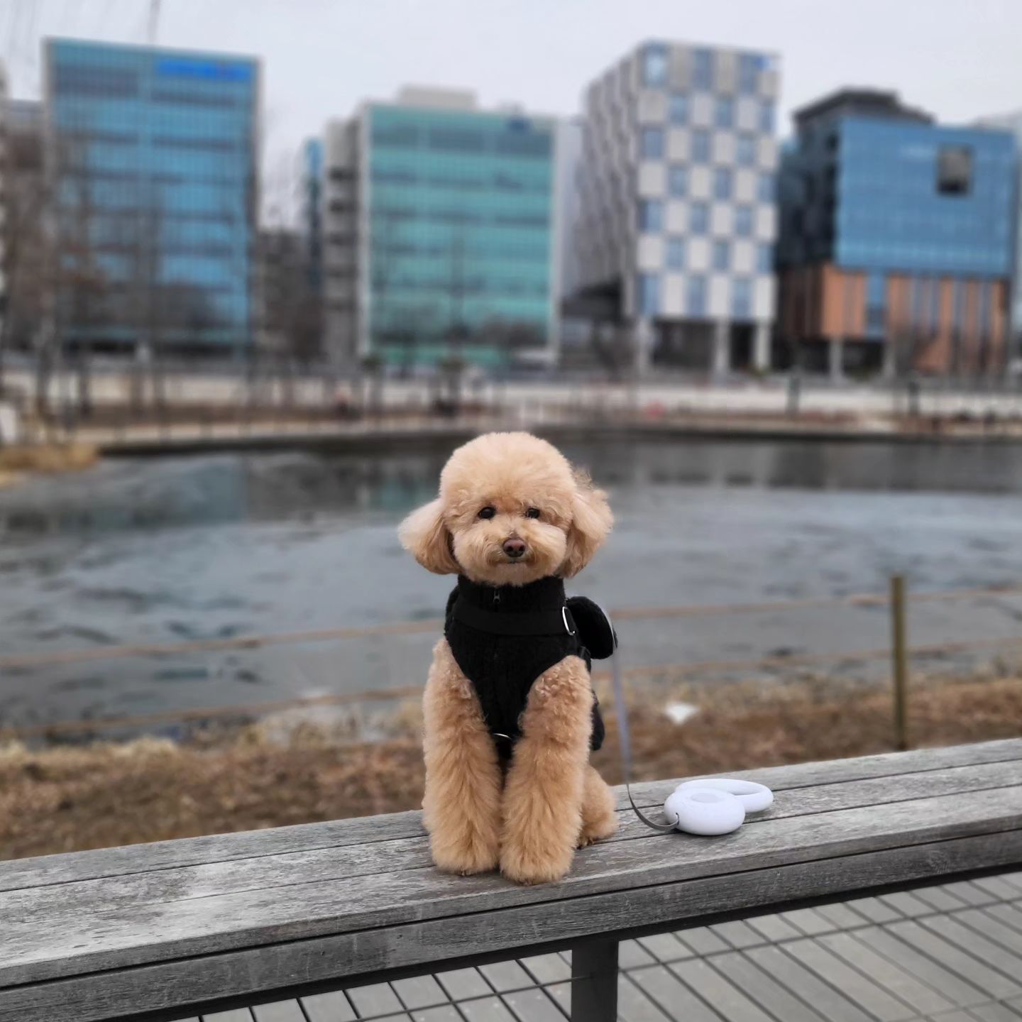 상경하구 첫 주말🙈
겨울이라 황량하지만 서울식물원 다녀왔는데 넓고 깨끗해서 산책하기 짱 좋구여~?
봄 되면 더 좋을거같은데 빨리 봄와라,,,어서,,,
서울 넘 추우니께,,,,
