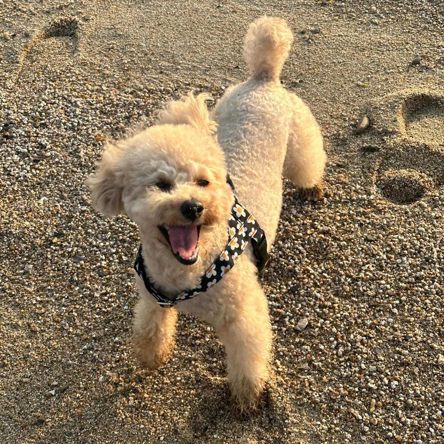 안더울때 바다보고싶어서
새벽 5시에🌊