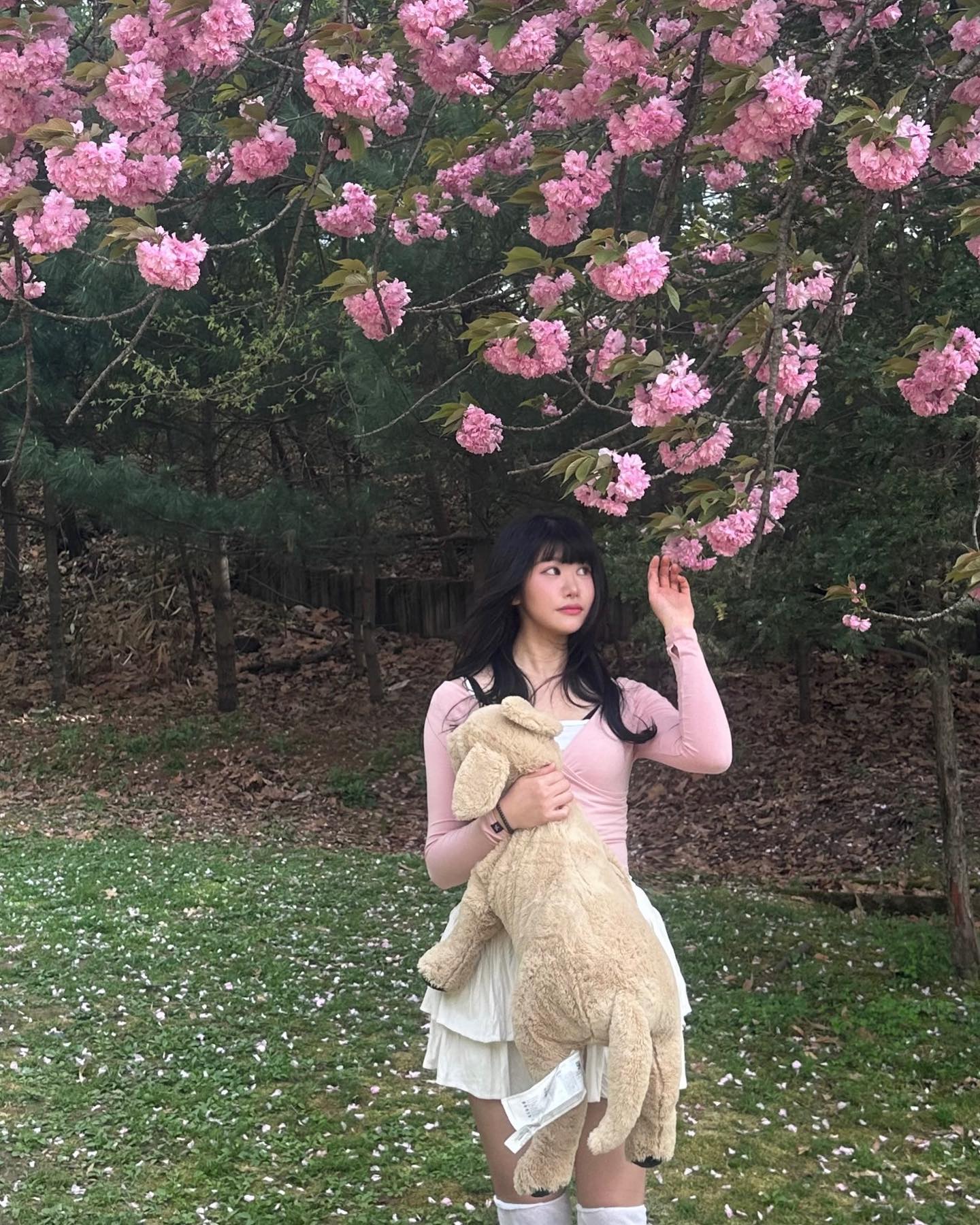 .ﾟ‪‪༘༘ ˖࣪ 💬 ˚₊·*🎀 𖤐
올해 겹벚꽃도 성공적💗
ค^•ﻌ•^ค
ค^•ﻌ•^ค
ค^•ﻌ•^ค
ค^•ﻌ•^ค
ค^•ﻌ•^ค
ค^•ﻌ•^ค
ค^•ﻌ•^ค
ค^•ﻌ•^ค
ค^•ﻌ•^ค
#겹벚꽃 #서울겹벚꽃 #어린이공원 #어린이대공원 #벚꽃 #서울가볼만한곳 #셀카 #셀스타그램 #일상 #소통 #데일리 #좋반 #좋아요 #좋아요반사 #팔로우 #선팔 #맞팔 #맞팔해요 #수원 #용인#카페 #카페투어
#경기광주 #동탄 #용인카페 #협찬