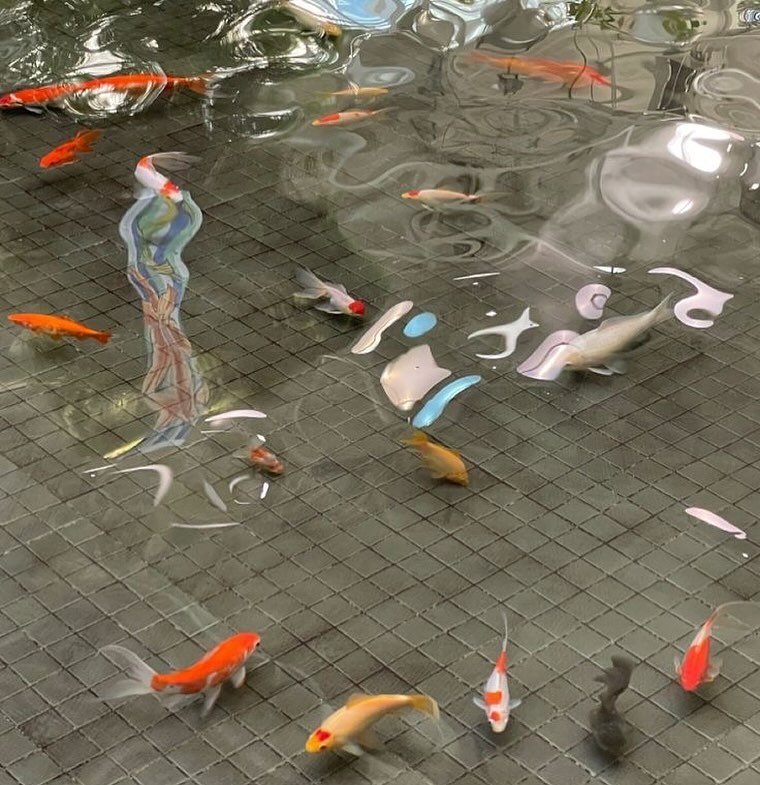 🐠🐟🦀🦞🪼🌱🐡🐙🦑🌿