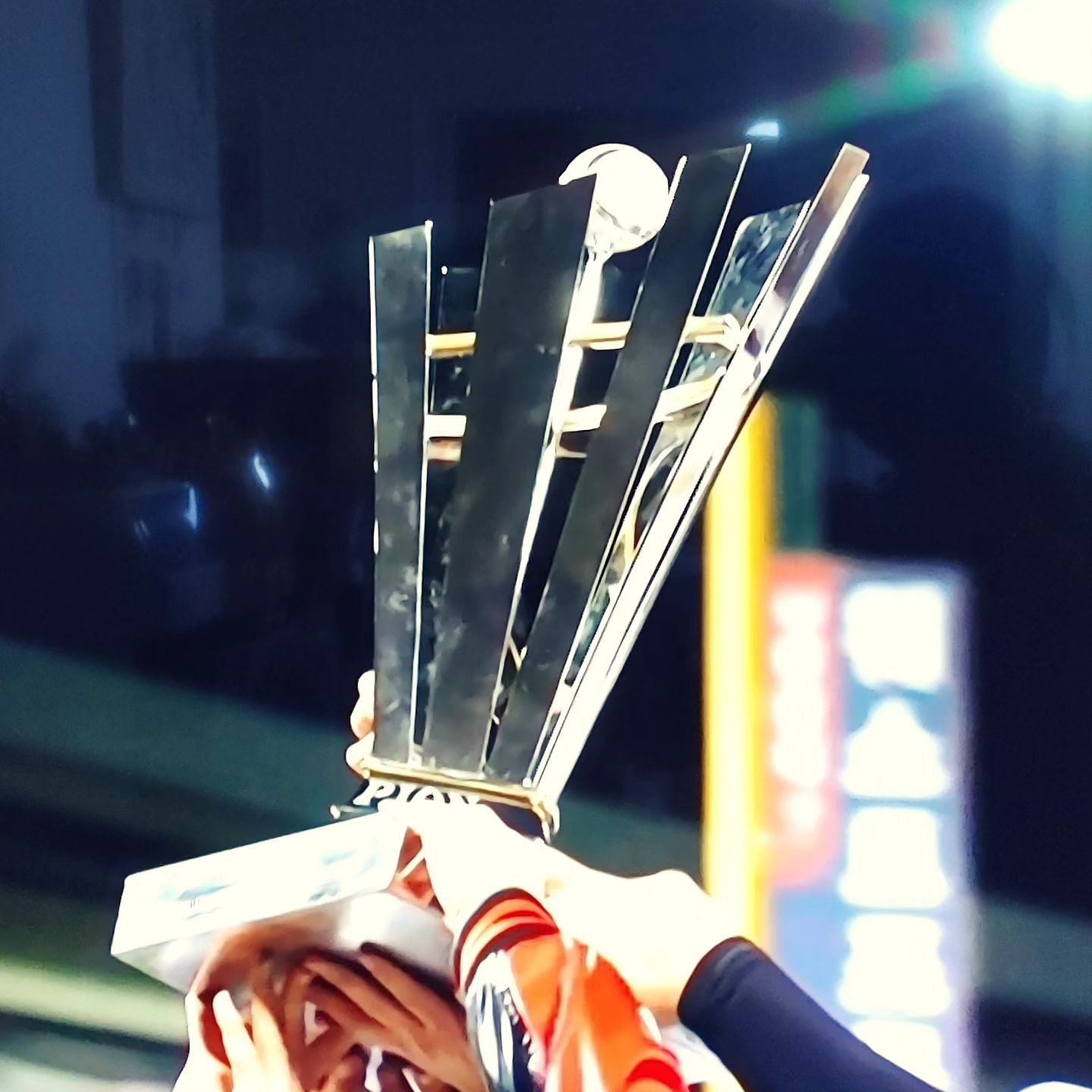 긴 기다림의 끝에 웃을 수 있게 해줘서 고맙다! 사랑한다! #LG트윈스!