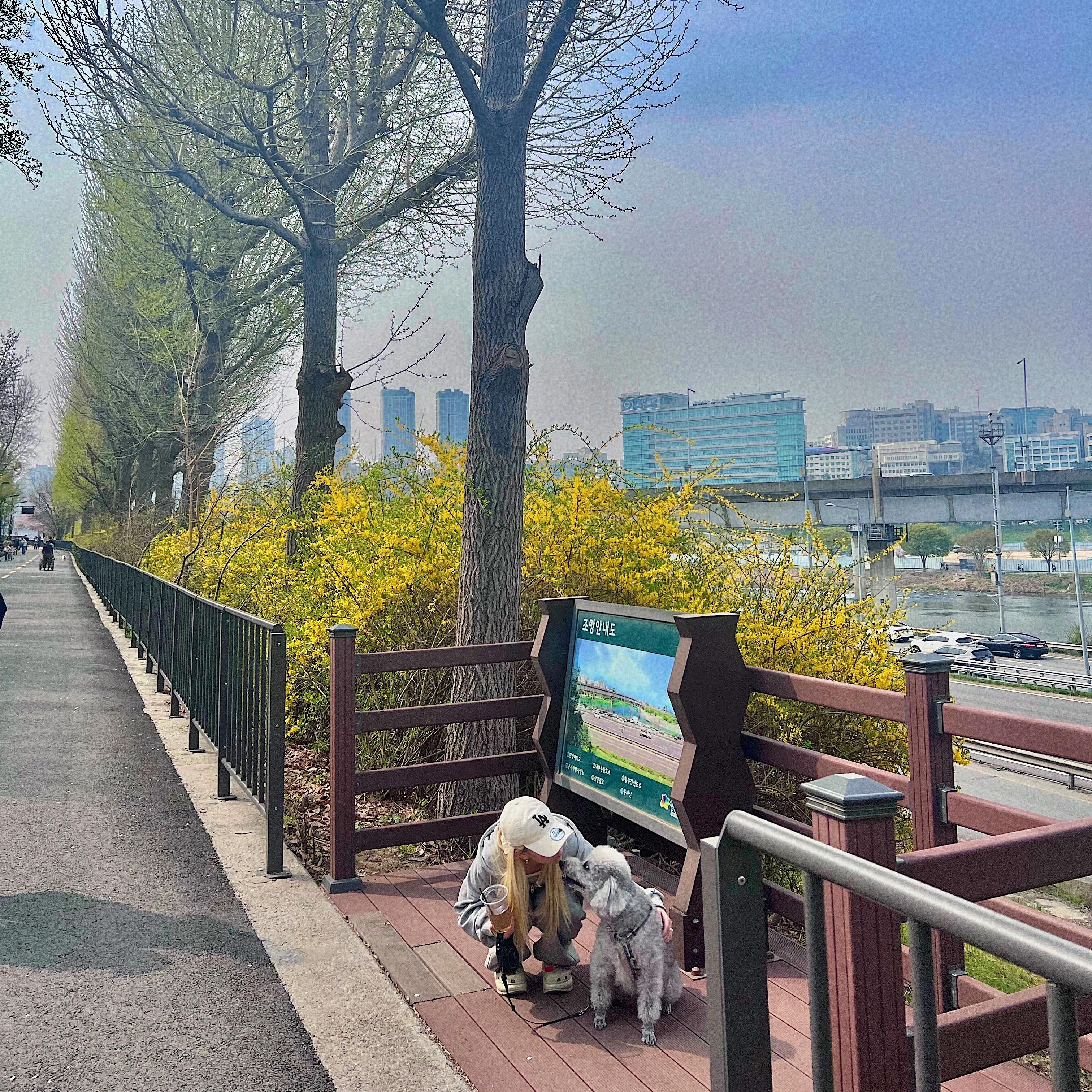 실버뚱(푸)들 🐩🤍