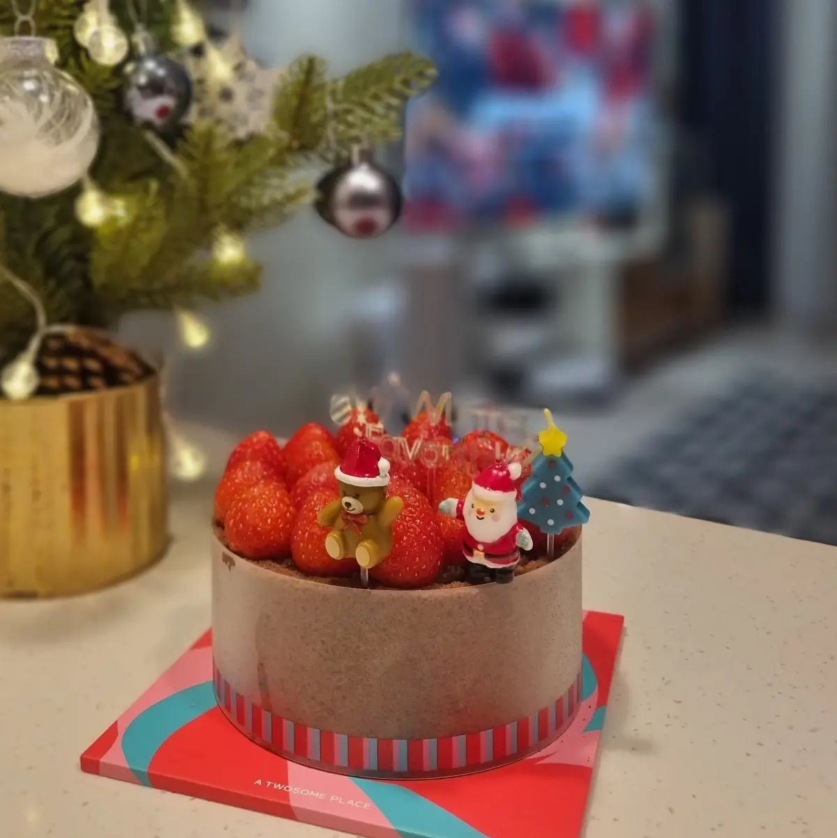 𐂂

HAPPY HOLIDAY

둘이서 보내는 마지막 크리스마스 연휴
움직이기 힘들어서 동네만 사부작 사부작 하고
오붓하게 홈파티 ღ˘⌣˘ღ

#크리스마스 #크리스마스케이크 #스초생 #아웃백 #아웃백런치 #치폴레치킨샐러드 #갈릭립아이스테이크  #크리스마스데이트 #해피홀리데이 #해피홀리데이🎄☃️