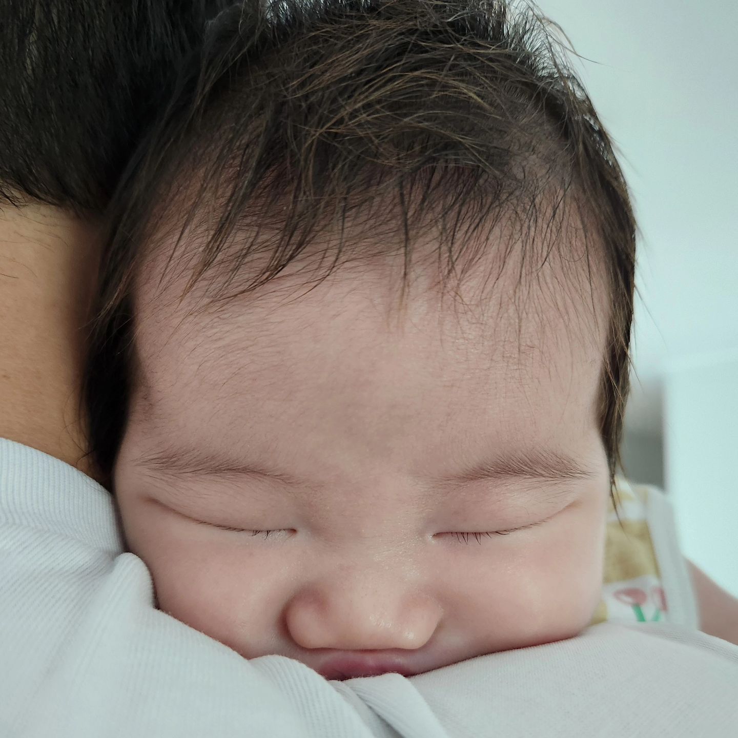 ㅤ
2024.07.25 D+60

찌부찌부 물만두 홍토리👶🏻