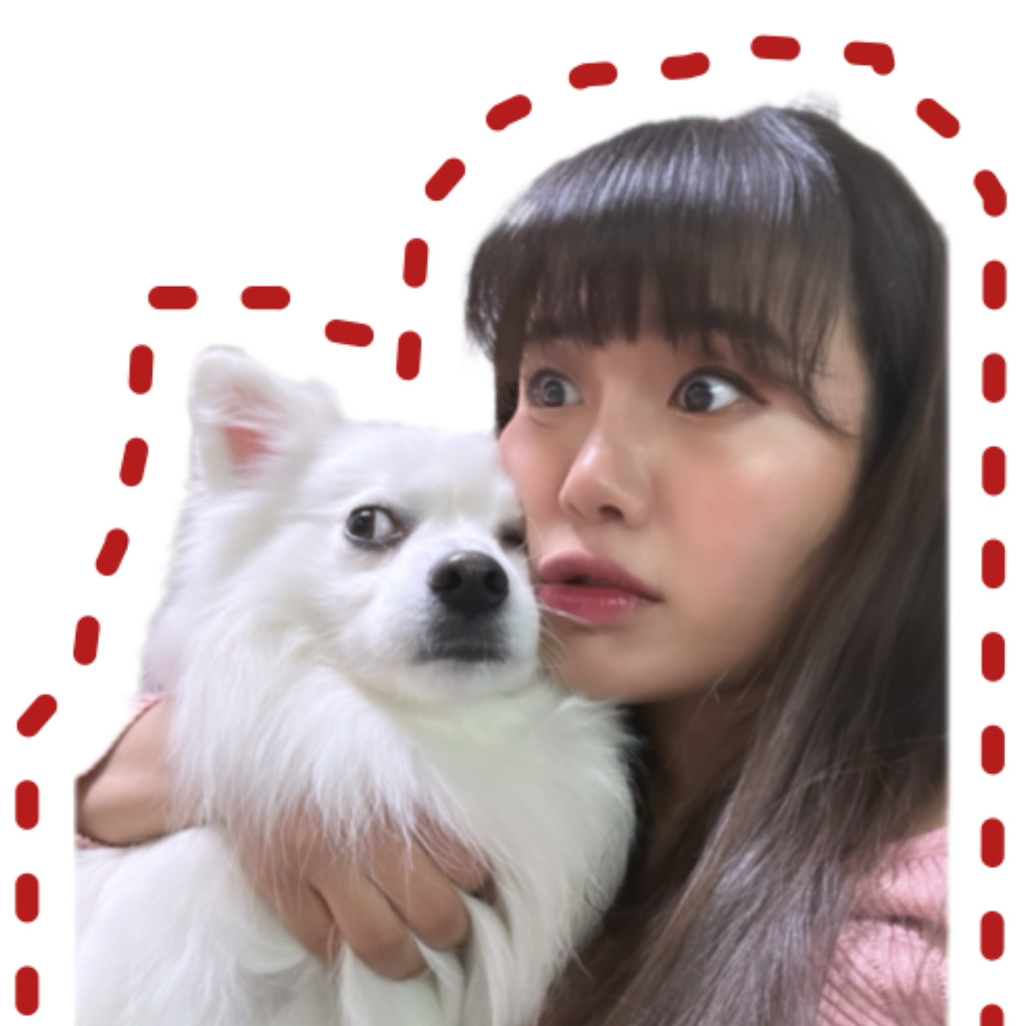따끈따끈 홀리 보고싶다❤️