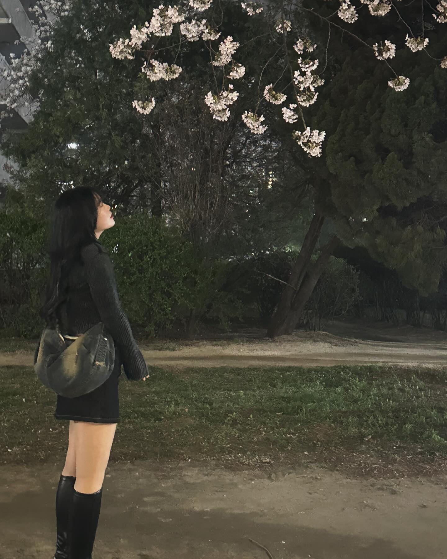 콘텐츠