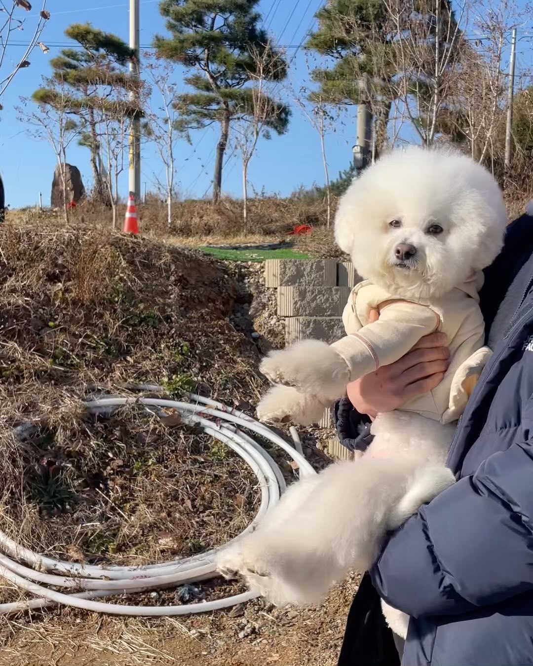 -
푸짐이의 요가교실 수업하고
세상 지치신 푸슨상님🙄
.
.
#푸푸일상