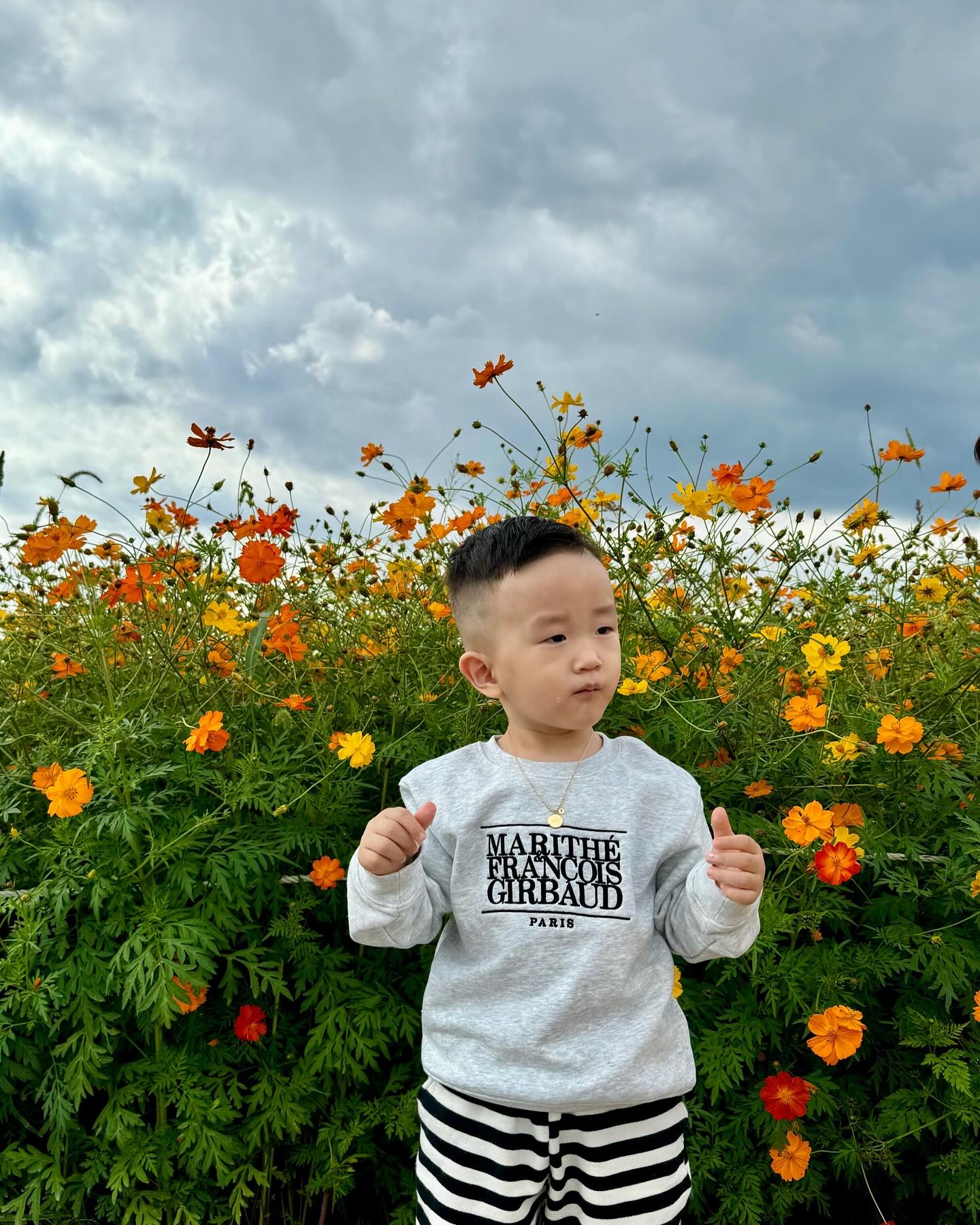 콘텐츠