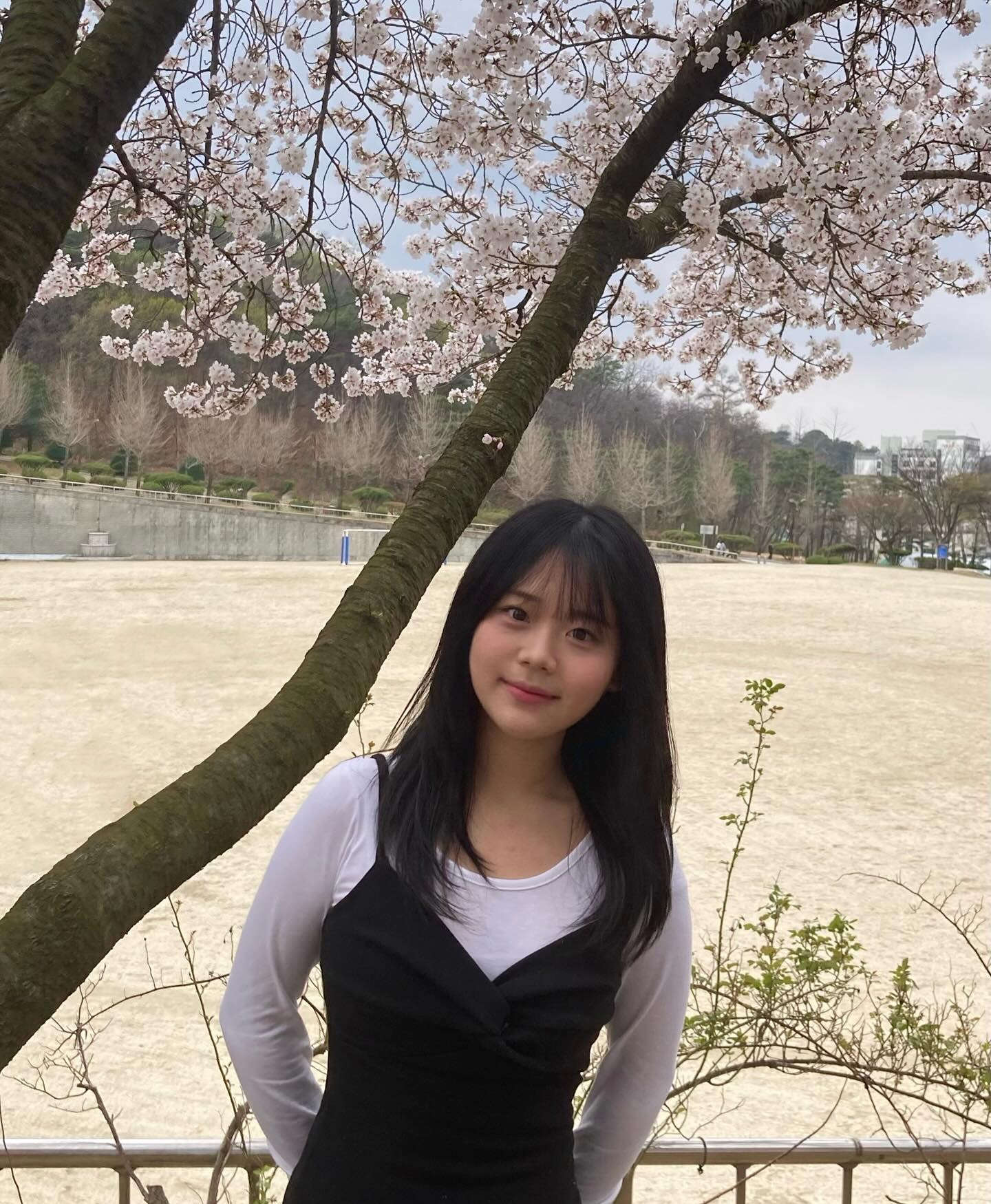 나랑 벚꽃보러 갈래? ⁄(⁄ ⁄•⁄ω⁄•⁄ ⁄)⁄ ♥