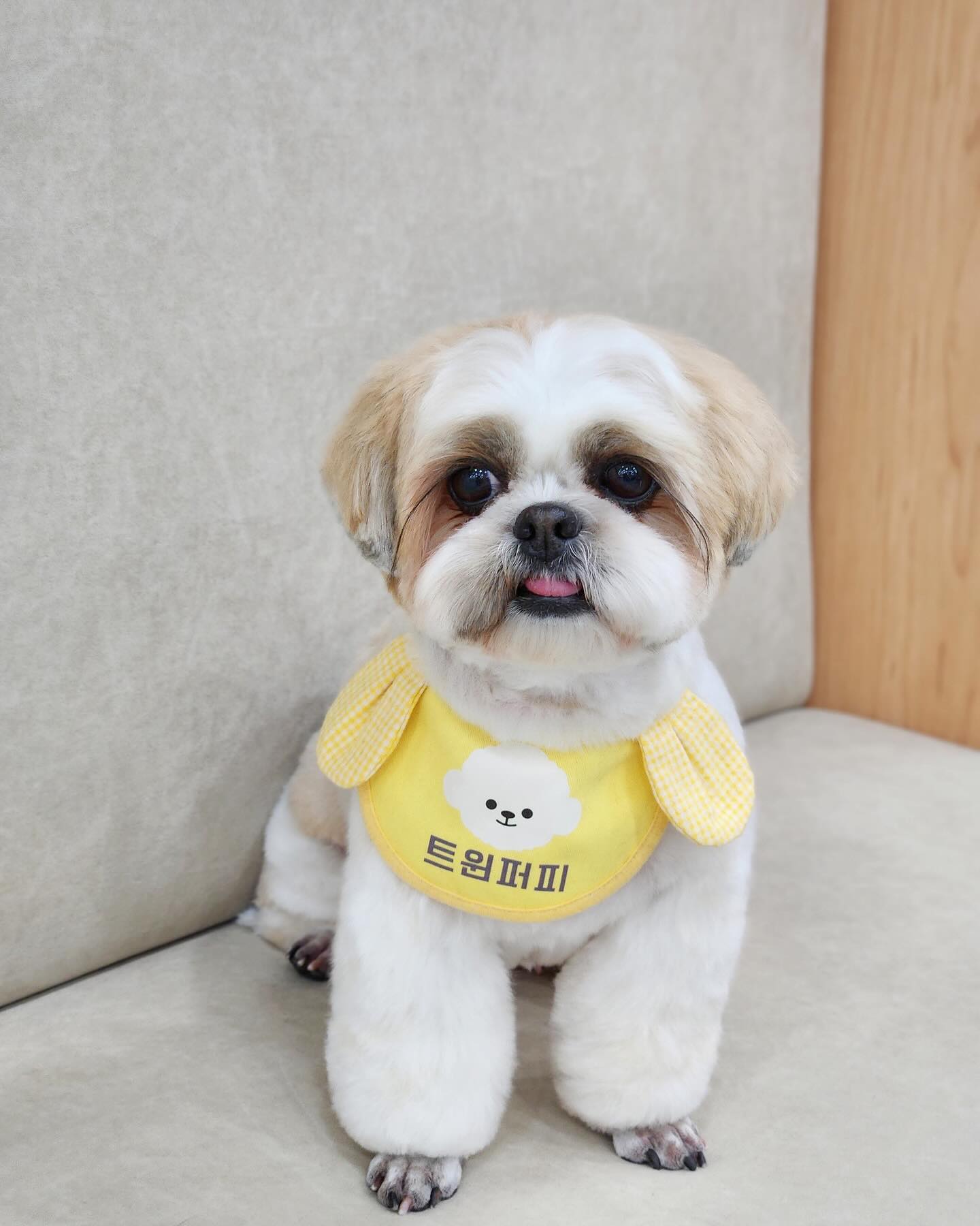 딸램 너무 귀여워 사랑스로워 … 👧🏻💛