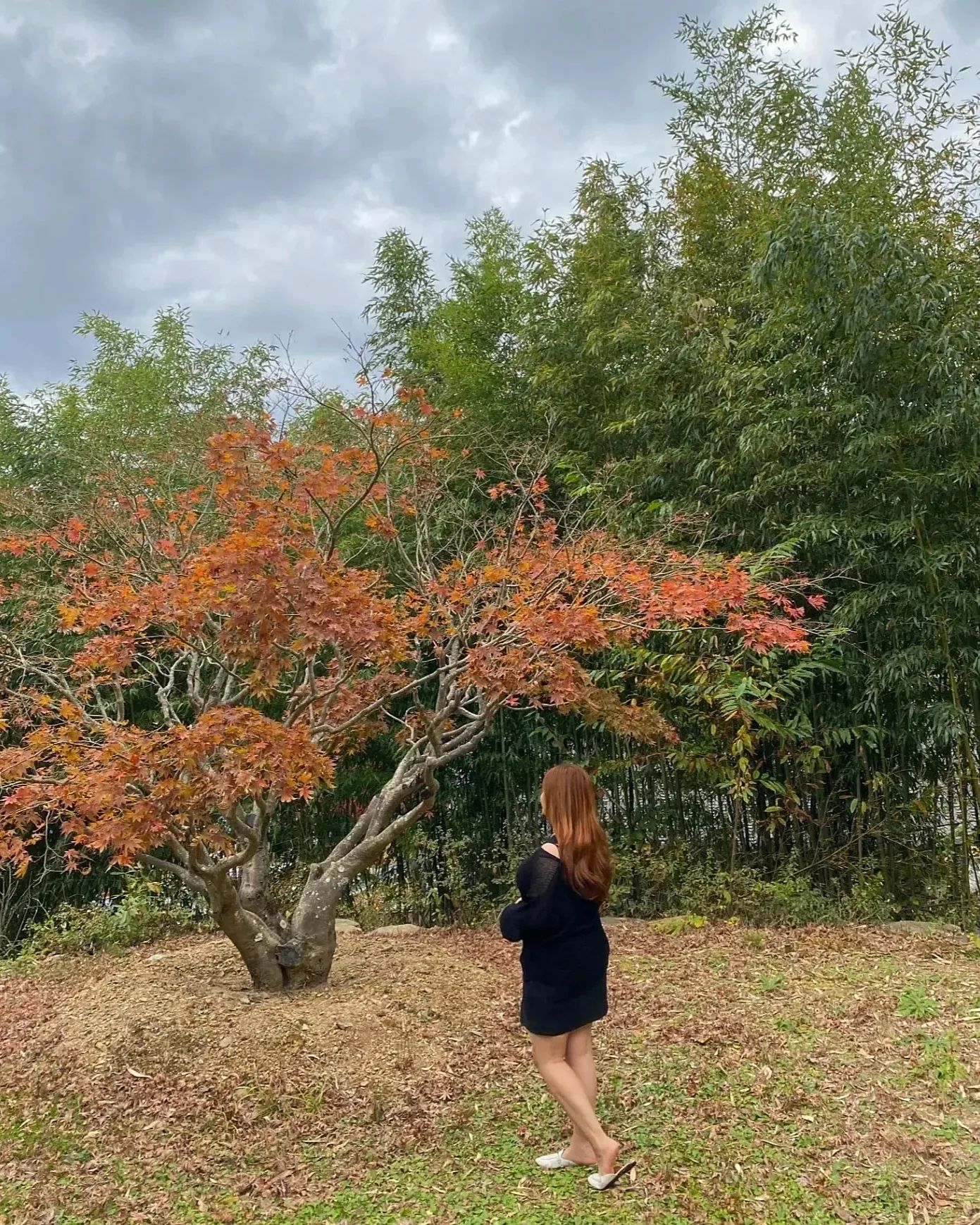 시간순삭🍁🍂