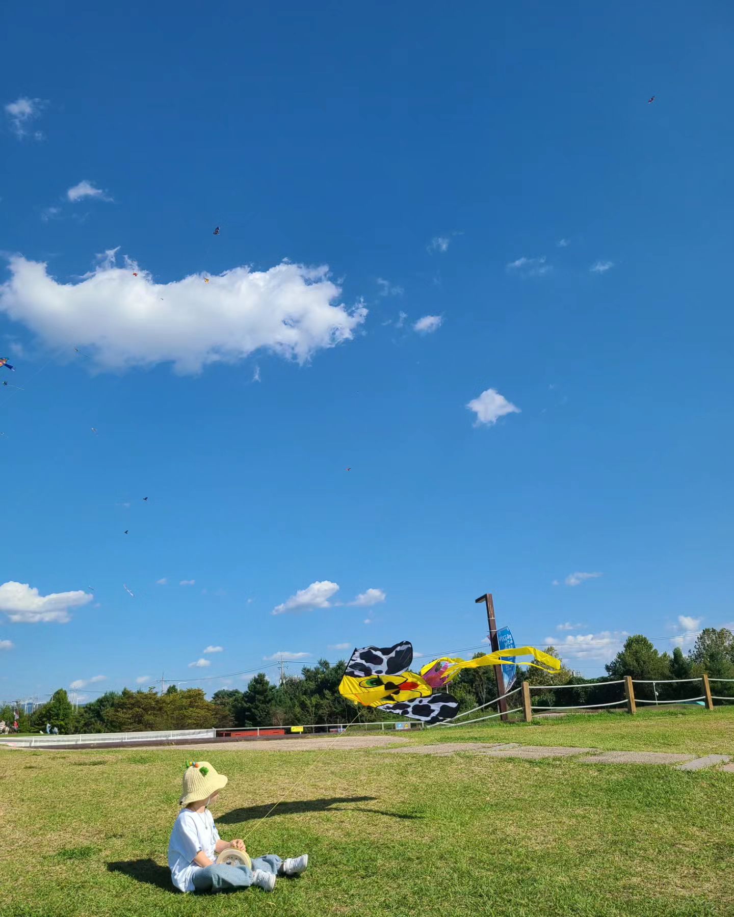 임진각평화누리공원🪁🎢

날씨가 너~~~무 좋아서 무작정 집을 나와서 목적지를 몇번이나 바꿔가며 도착한 평화누리공원!!ㅋㅋㅋ

복땡이에게는 킥보드와 자전거를 타자며 데려온 곳이지만 공원내 킥보드,자전거 금지..😅

하지만 덕분에 연날리기🪁 새로운 경험을 했다ㅋㅋㅋ
연을 띄우기 위해 열심히 달리기도 하고 가장 높이 올려보내자며 얼레를 풀고 풀다 다 꼬이기도 하고ㅋㅋㅋ

놀이기구도 신나게 타고 겁 없이 아빠랑 같이 바이킹을 타서 "배아파~무서워 내릴래~" 식겁도 하고ㅋㅋㅋㅋ모르는 누나랑 회전 컵고 멋있게 빙글빙글 돌려도 주고

민간인통제구역 들어가서 북한을 보는 망원경으로 "와~~ 하늘 예쁘다" 하늘만 보고 온 복땡이ㅋㅋㅋㅋ

계획없이 무작정 다녀왔지만 우당탕탕 성공적!!!ㅋㅋㅋ