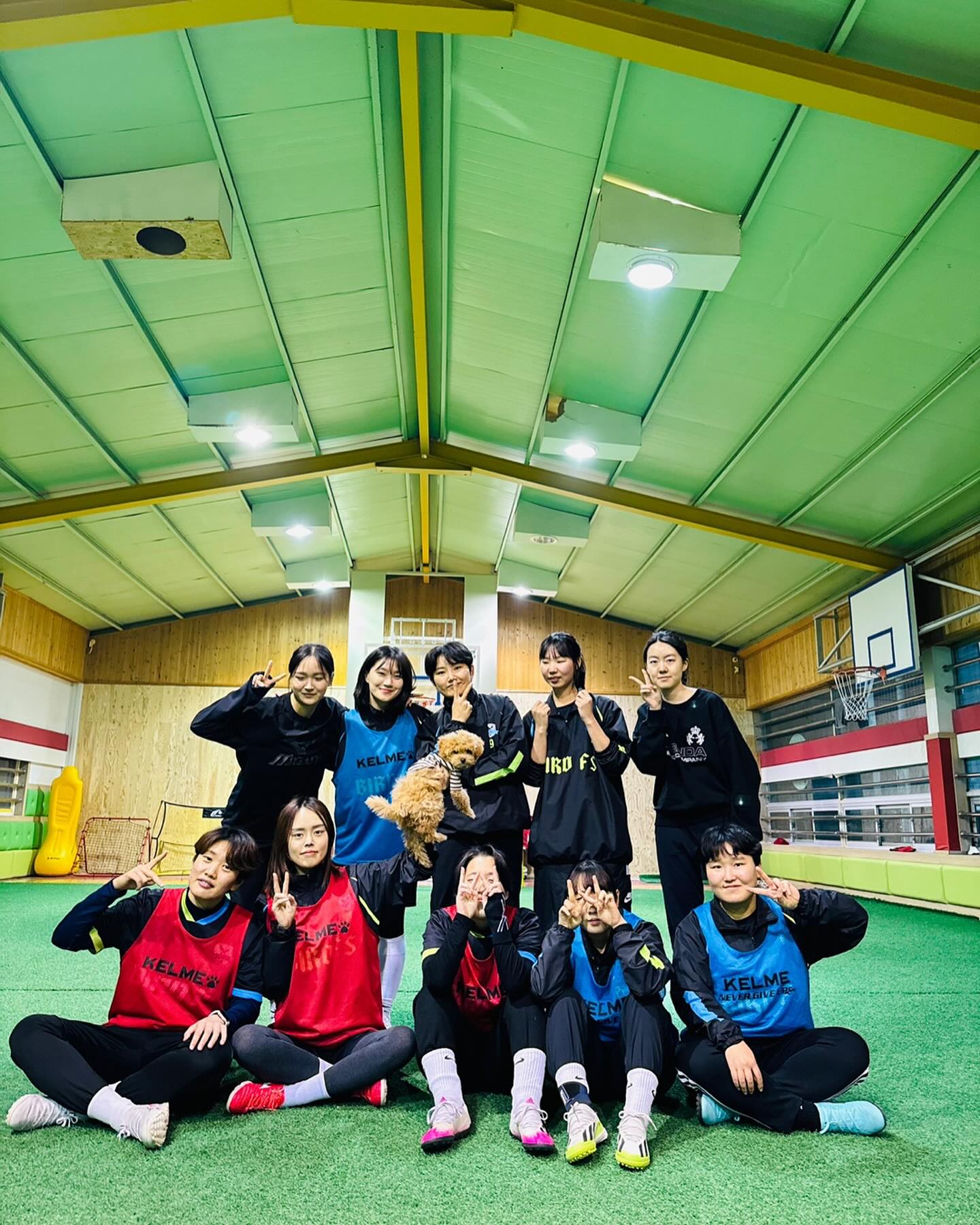 오늘은 복희와 함께!!