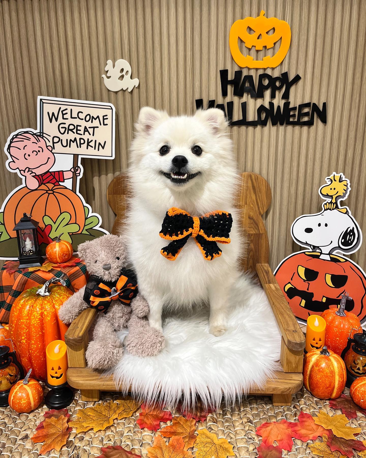 미리 할로윈🎃👻