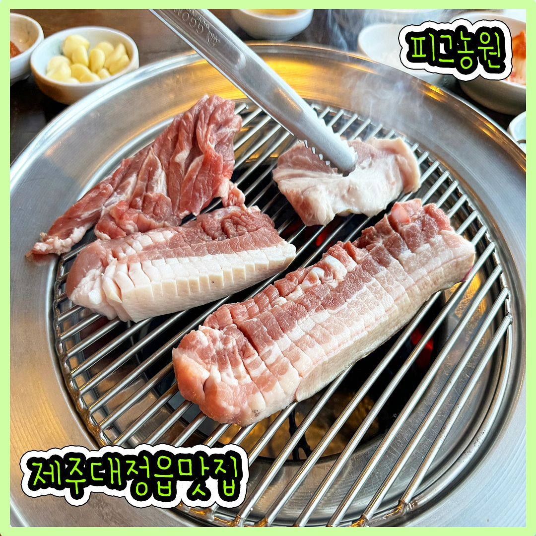 #대정읍맛집

제주대정읍맛집 피그농원에서
맛나게 먹고 왔지요!!

흑돼지, 갈비탕 맛집인 피그농원 제주모슬포항현지맛집으로도 유명한데요~
오전10시에 오픈해서 아침으로
갈비탕먹고 관광하기도 너무 좋은거 같아요!
넓은 주차장에 200평 규모로 내부가 넓어서
단체나 각종 모임 가능하고 갈비탕, 돼지고기,
한우 등 20가지 이상의 다양한 메뉴가 있고
제주신화월드에서 15분거리로
주변 관광지와 가까워서 방문하기 편해요

갈비탕은 밀키트 포장 판매하는데
밀키트 1개 양이 3인분 정도로 푸짐해서
포장해서 아침으로 먹기 좋아요!

#제주대정읍맛집 #제주모슬포항맛집 #제주신화월드맛집 #제주영어마을맛집 #제주현지인맛집 #제주로컬맛집 #모슬포항아침식사 #제주신화월드리조트맛집 #제주모슬포항고깃집 #대정읍맛집 #제주골프 #제주골프장맛집
해당 리뷰는 파워리뷰를 통해 업체로부터 제공받아 작성된 솔직한 후기입니다.