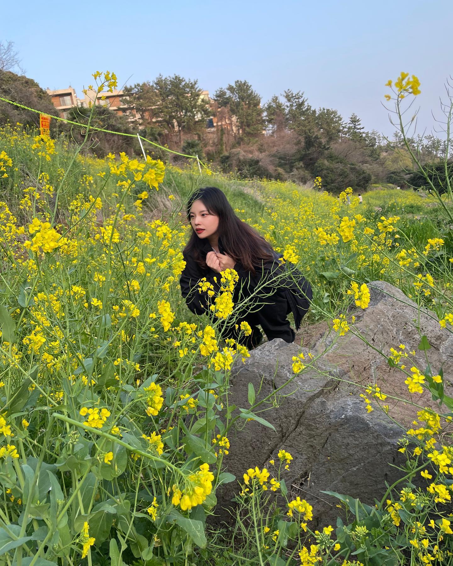 화장실이 급한건 아니었는데
#제주도 #제주여행중🌴 #언제나맑음