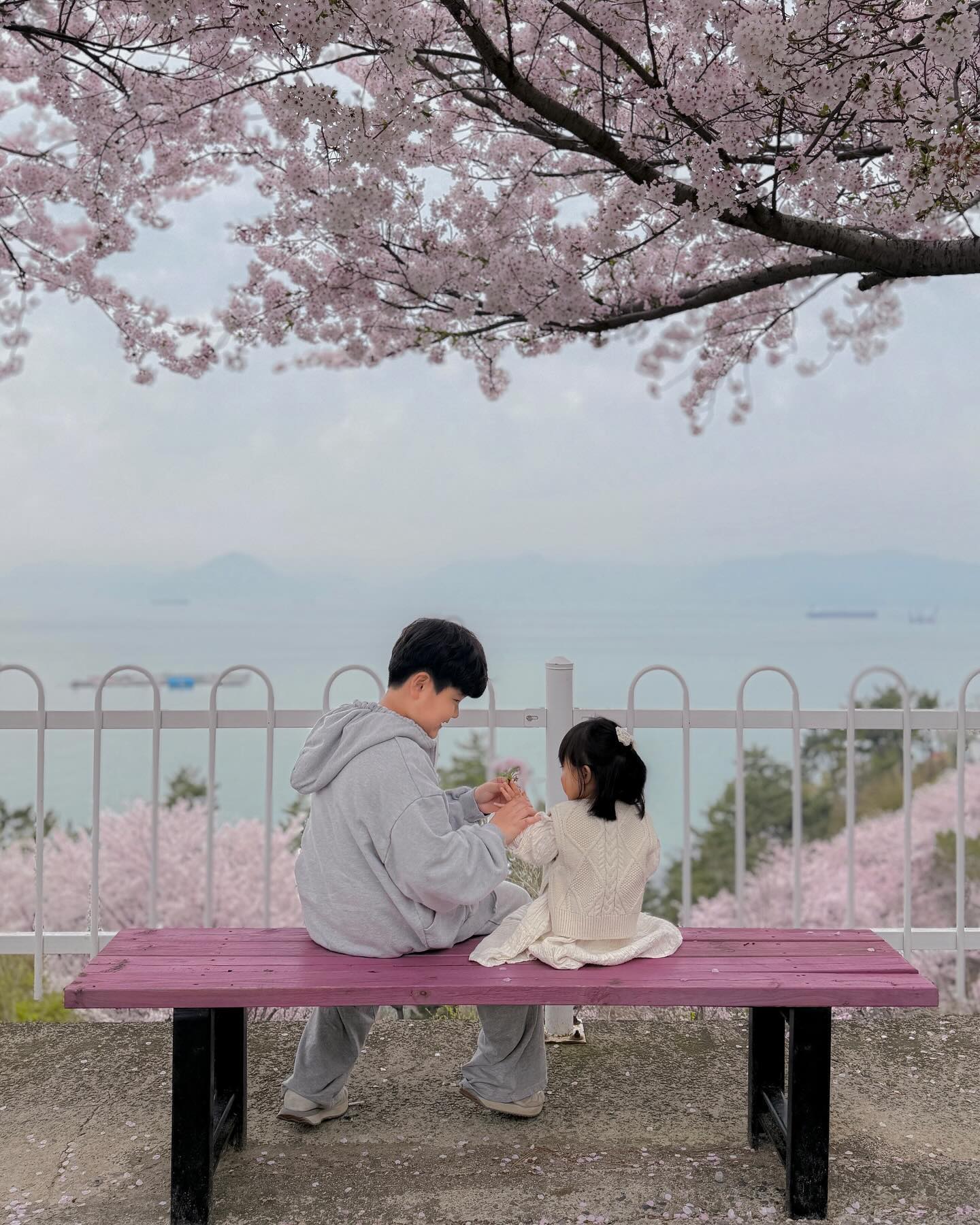 ✨
주말마다 날씨가 좋아서 원없이 꽃구경한 이번 봄.
흰 분홍색의 벚꽃이 지고 난 자리엔 싱그러운 초록색이 돋아났다.
이렇게 또 봄이 지나가고있다. 🌸
(그리고 복직이 다가온다……………🫠)
⠀⠀⠀⠀⠀⠀⠀⠀⠀⠀⠀⠀⠀⠀⠀⠀
⠀⠀⠀⠀⠀⠀⠀⠀⠀⠀⠀⠀⠀⠀⠀⠀
⠀⠀⠀⠀⠀⠀⠀⠀⠀⠀⠀⠀⠀⠀⠀⠀
⠀⠀⠀⠀⠀⠀⠀⠀⠀⠀⠀⠀⠀⠀⠀⠀
/
#꽃구경
#봄나들이
#벚꽃엔딩
#복직이다가온다
