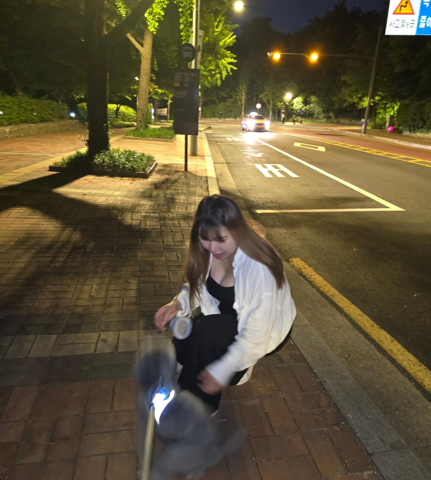 기여미 대박이 🩶🩶🩶

#남산 #댕댕이