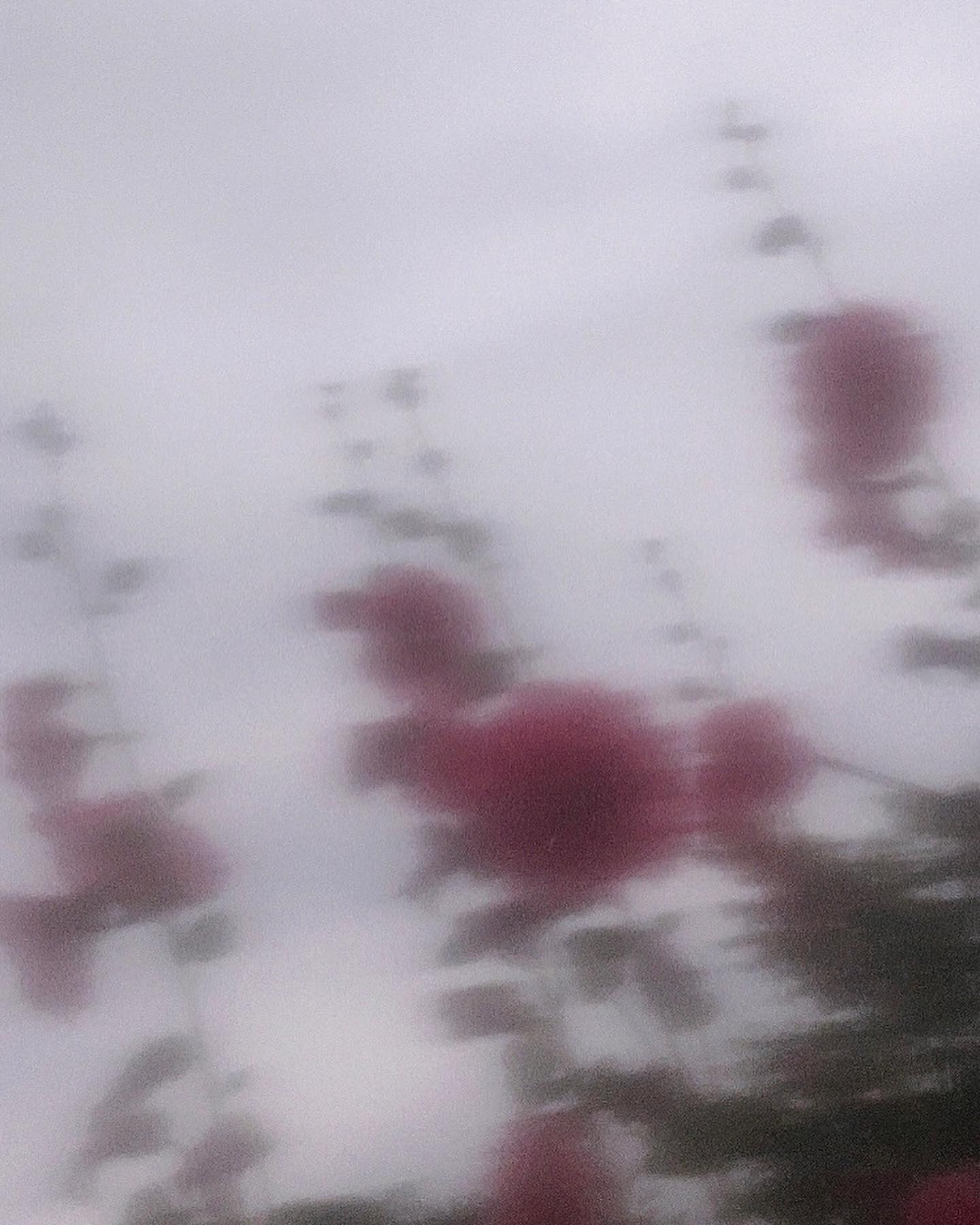 콘텐츠