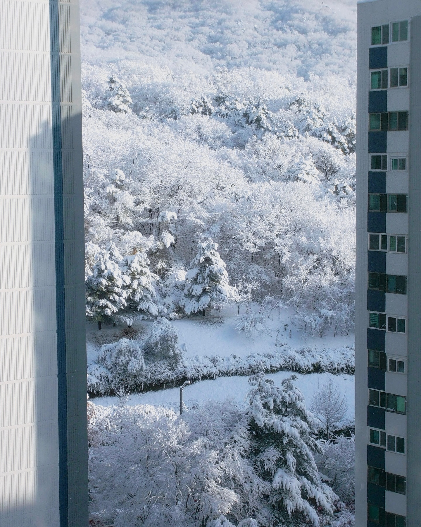 코끝이 저릿한 쨍한 찐겨울이 도래했다🧣☃️