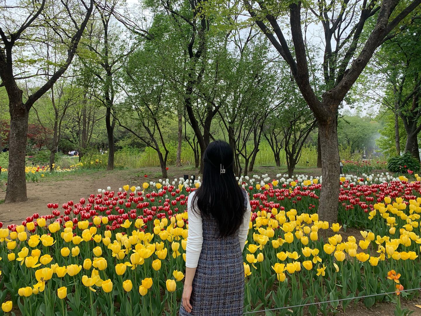 💐
게을러서 미뤘다가 도배하는 중,,,