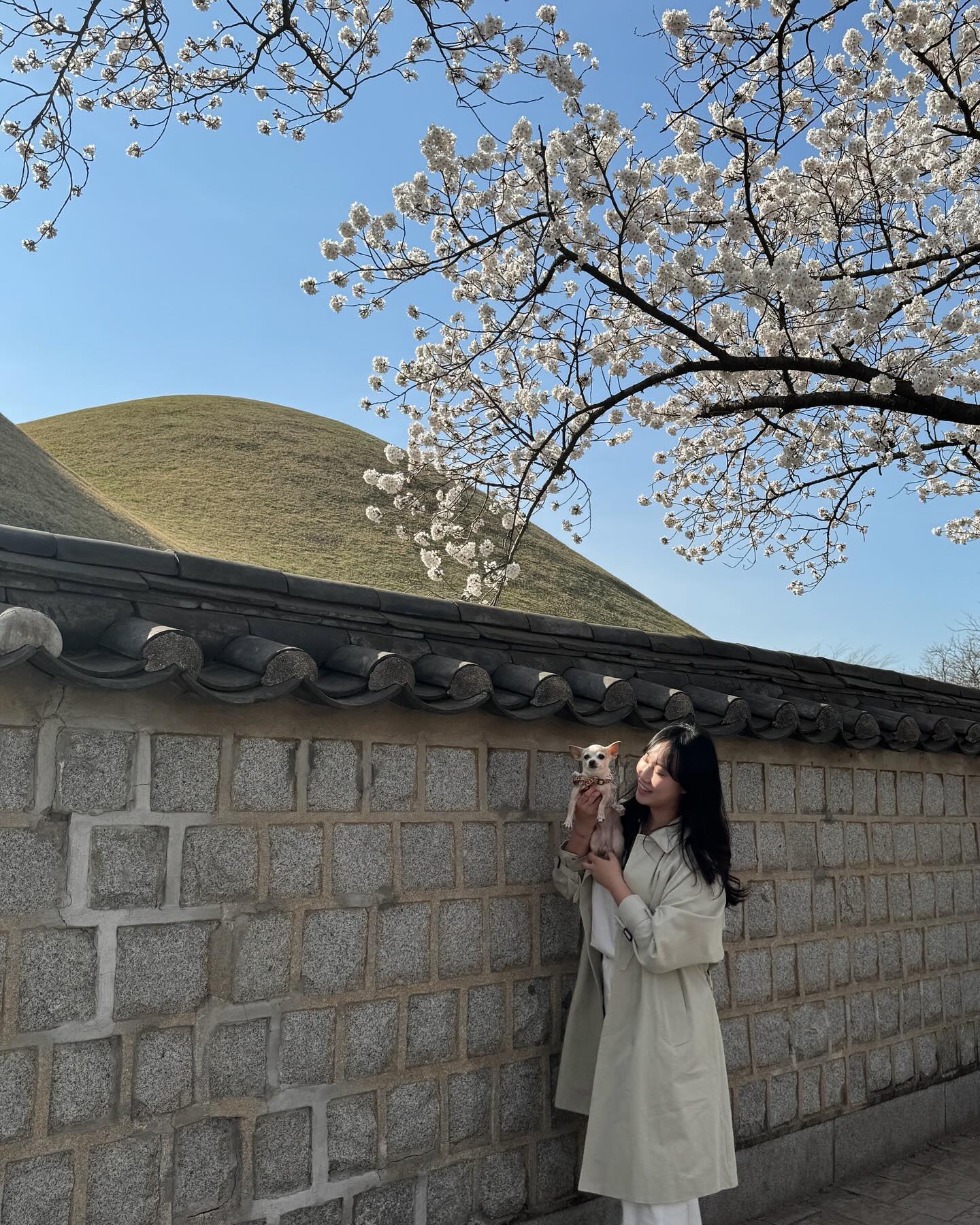 뽀뽀랑 추억 많이 남기기🤍🐾